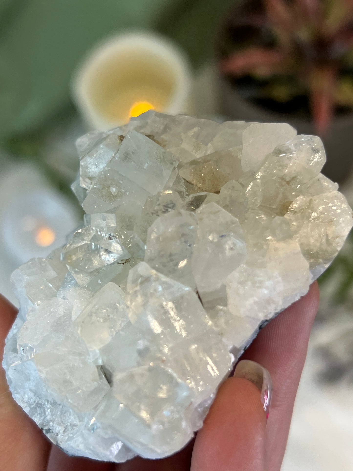 Apophyllite Cluster