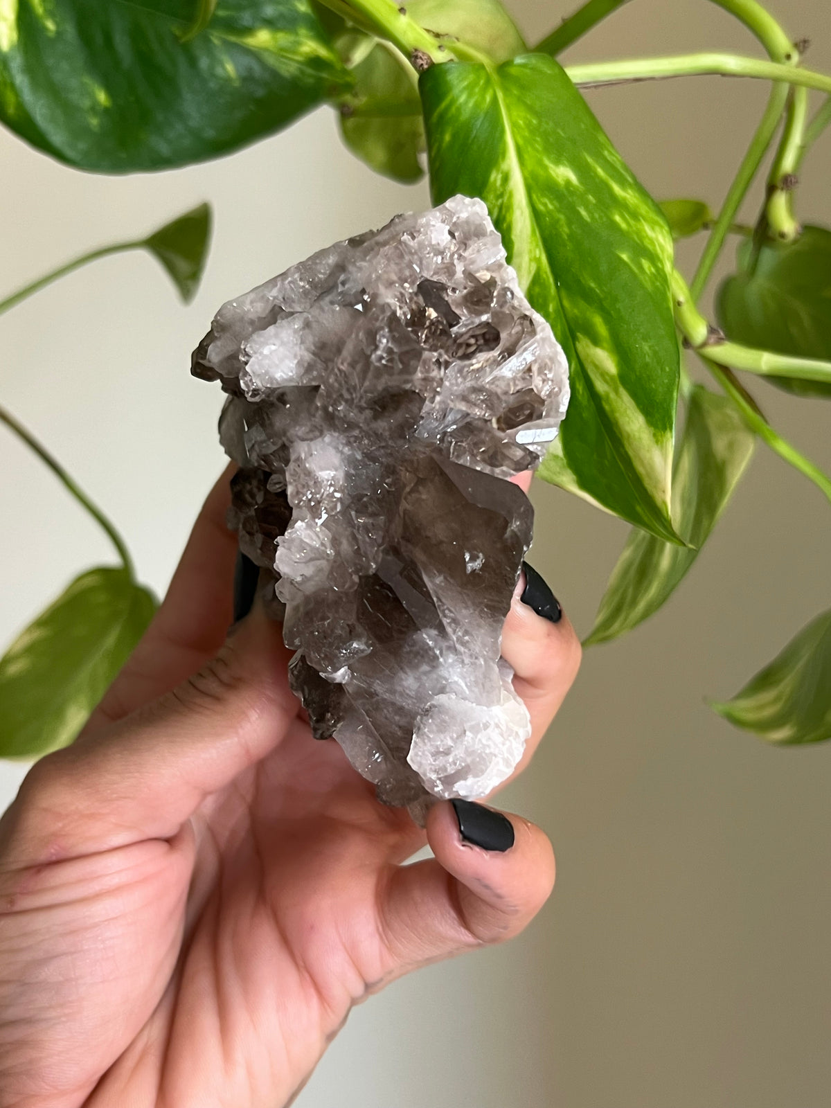 Smoky Quartz Cluster