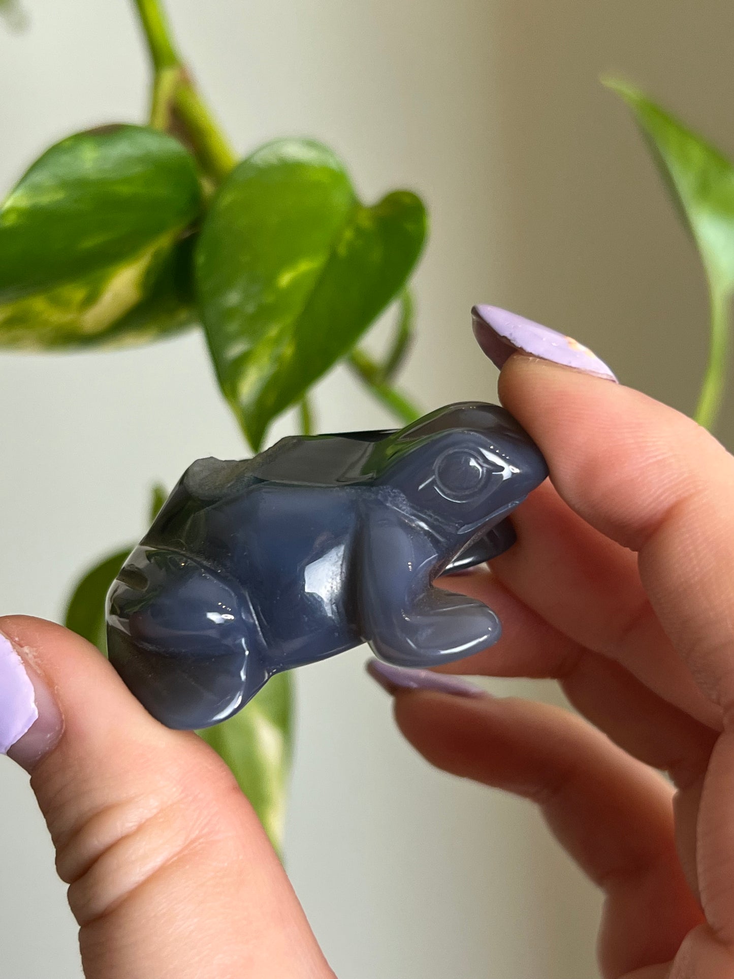 Druzy Agate Frog - 4
