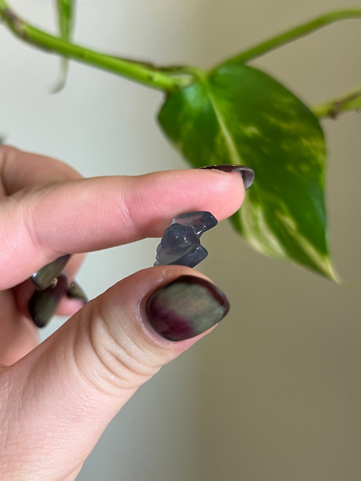 Rainbow Fluorite Mini Bat