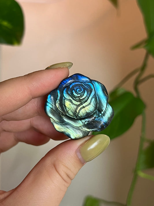 Flashy Labradorite Rose