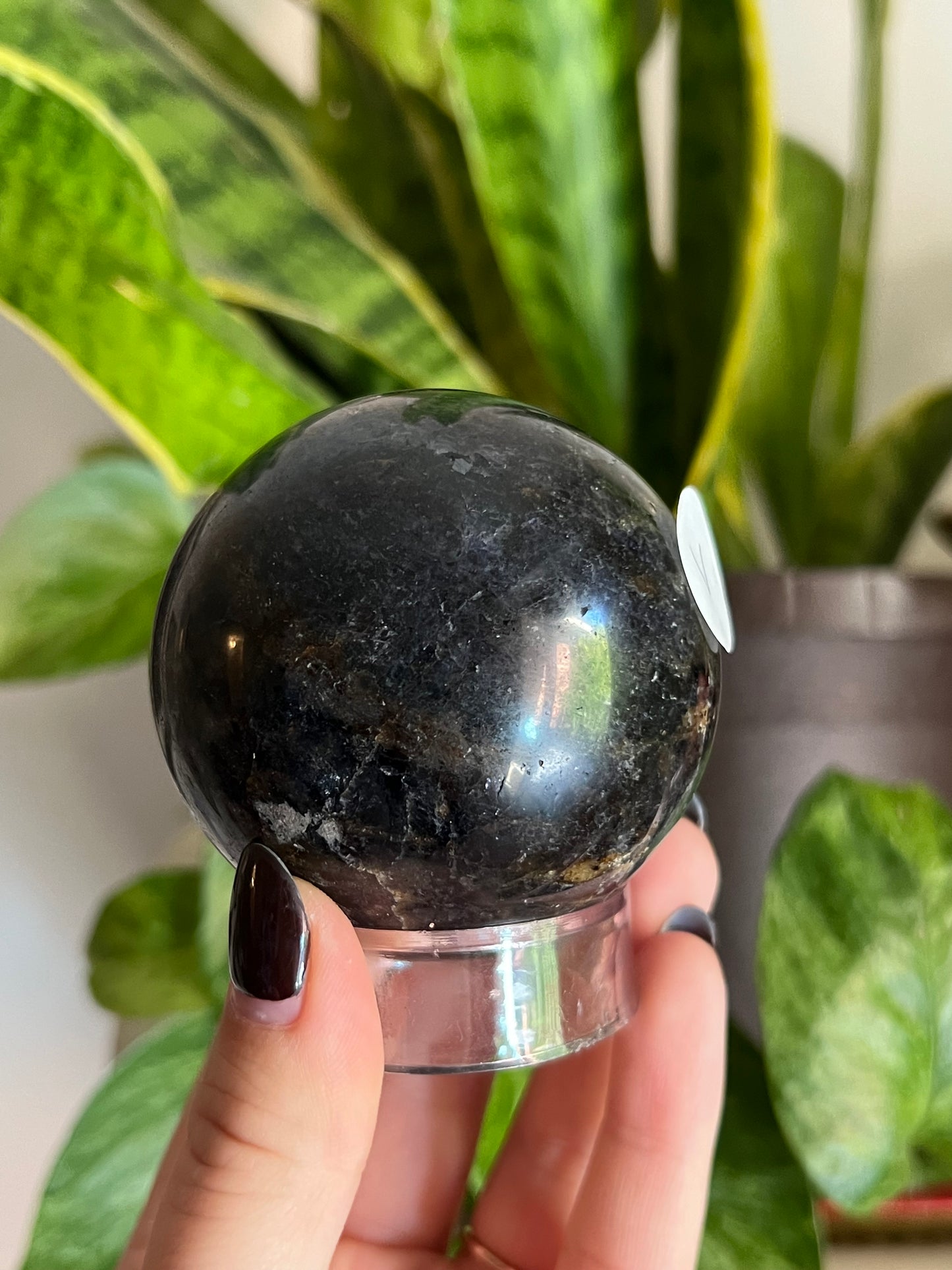 Iolite and Water Sapphire Sphere V