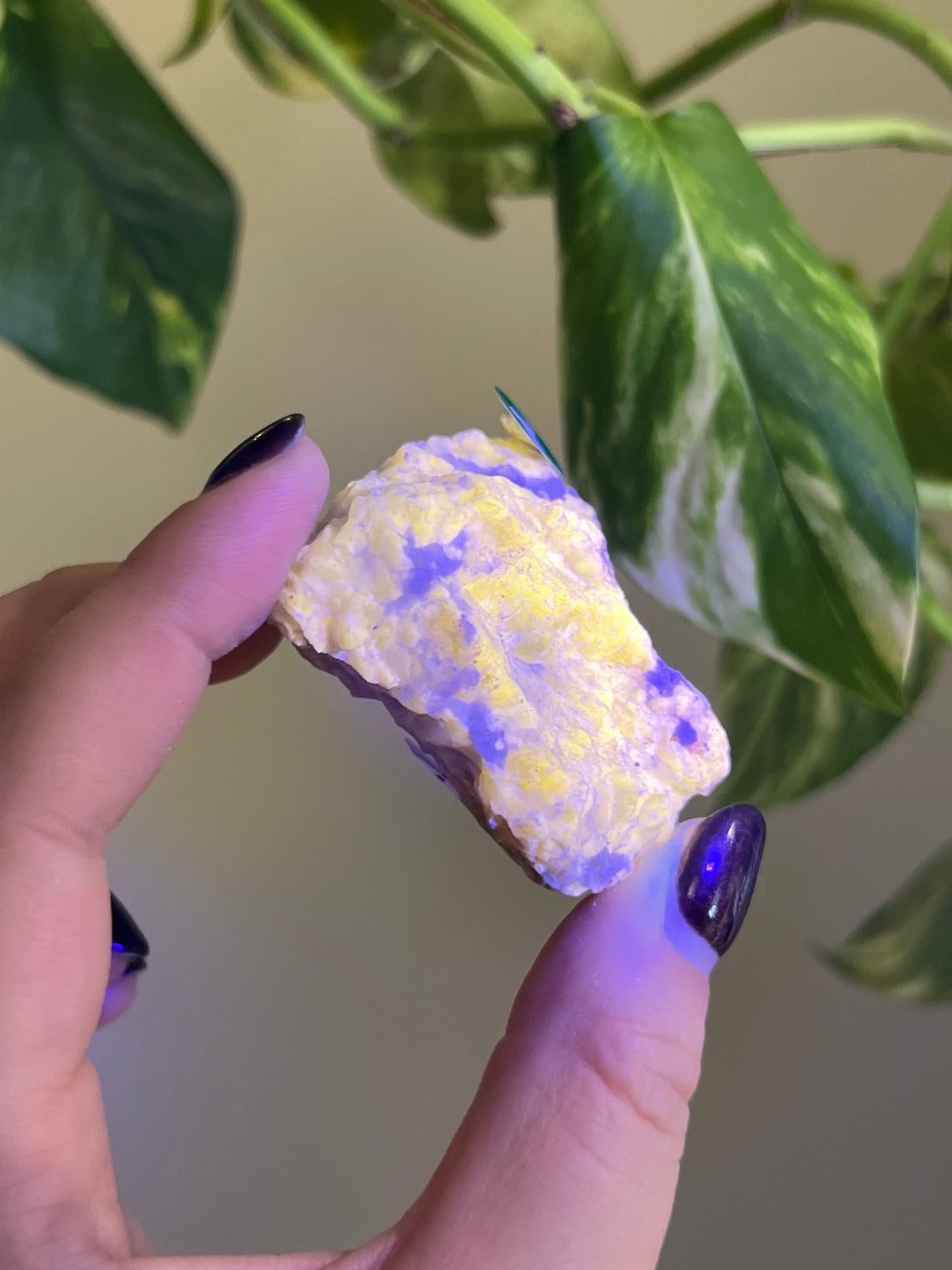 UV Reactive Meionite Scapolite Specimen - T