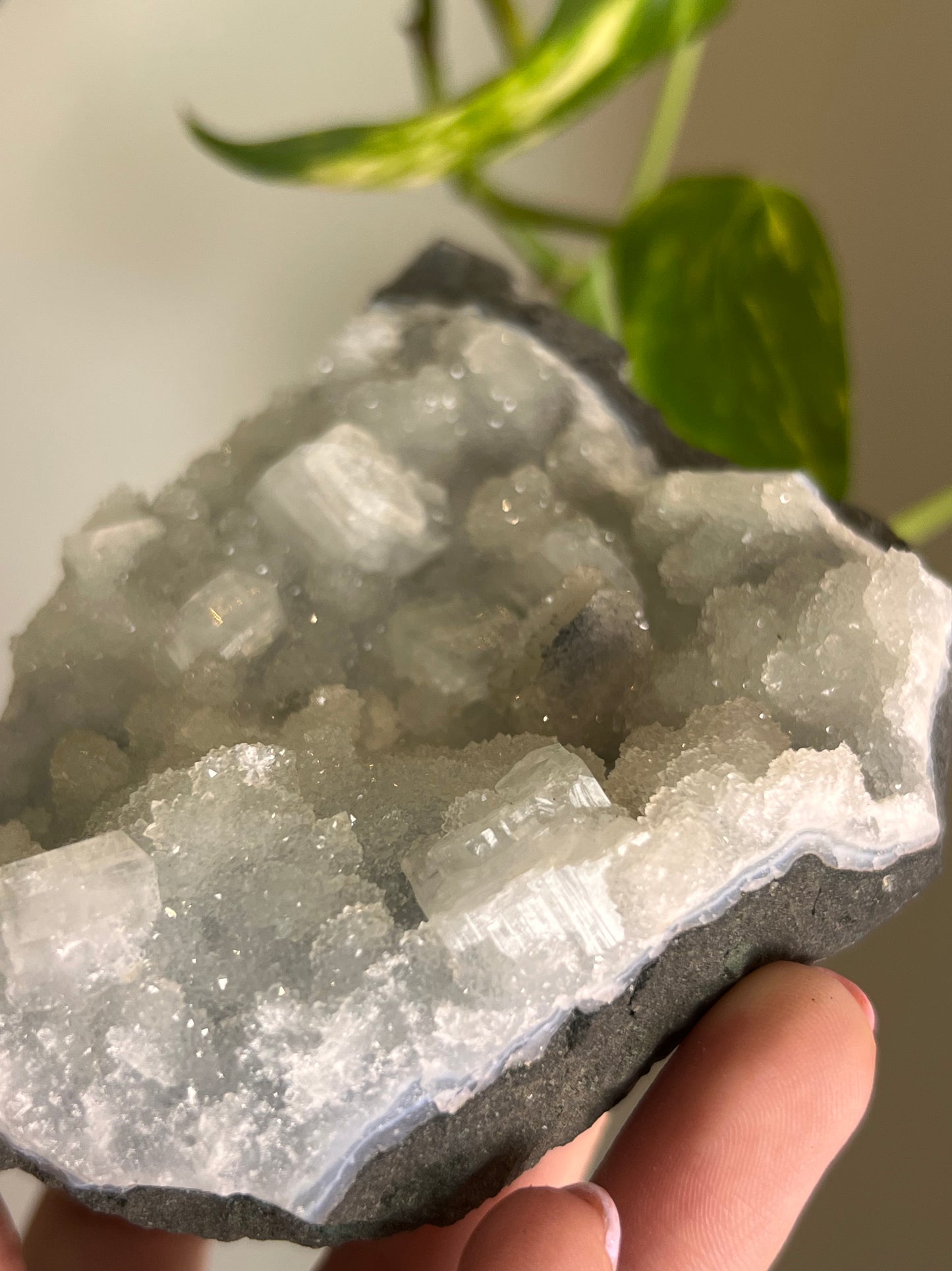 Apophyllite and Chalcedony Cluster - R