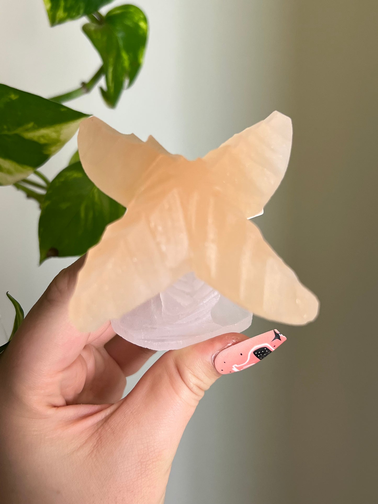 Selenite Satin Spar Palm Tree