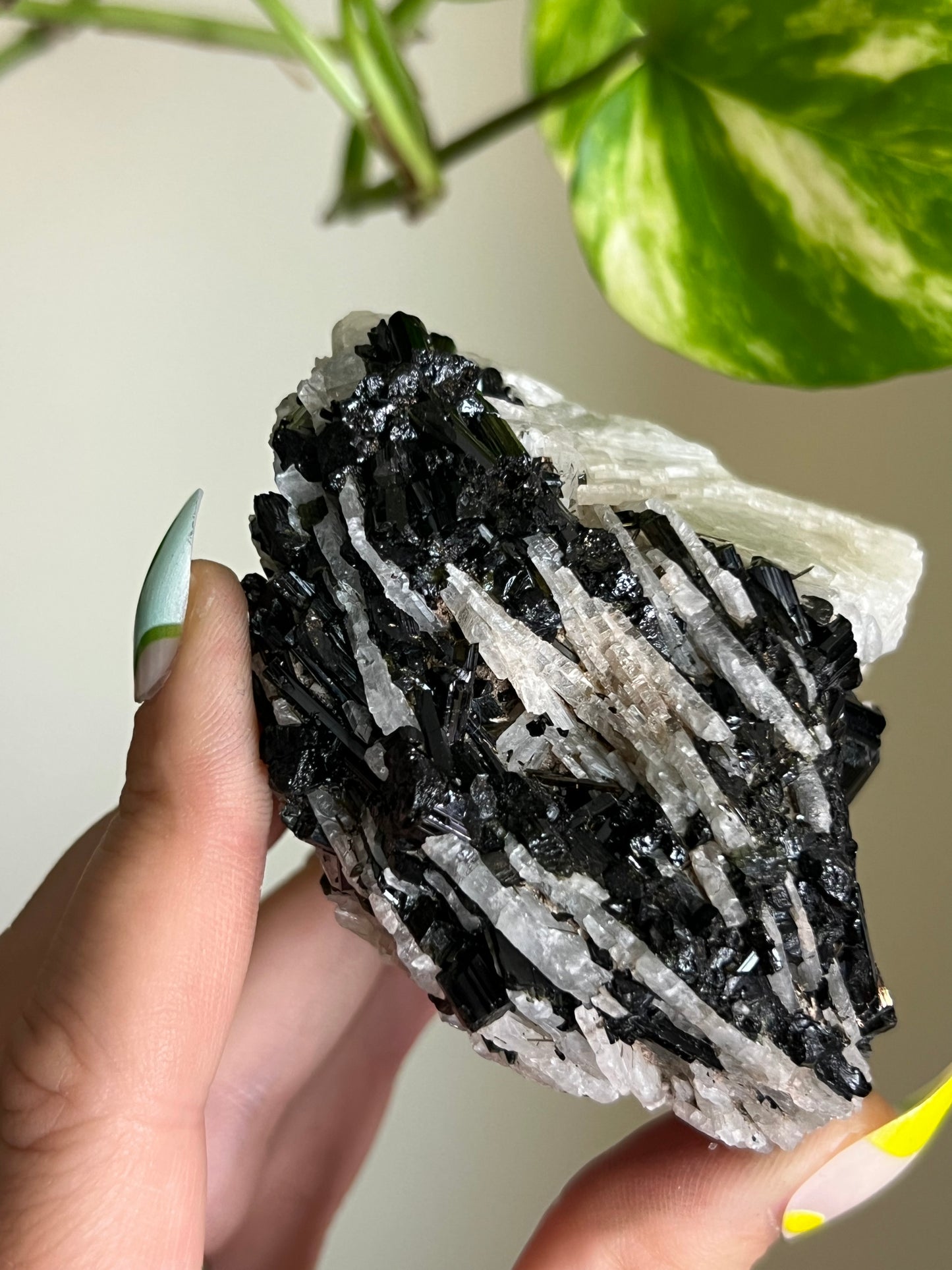 Black Tourmaline on Matrix Specimen