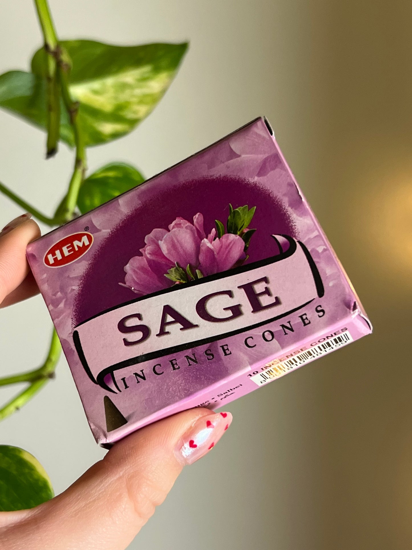 Sage Incense Cones