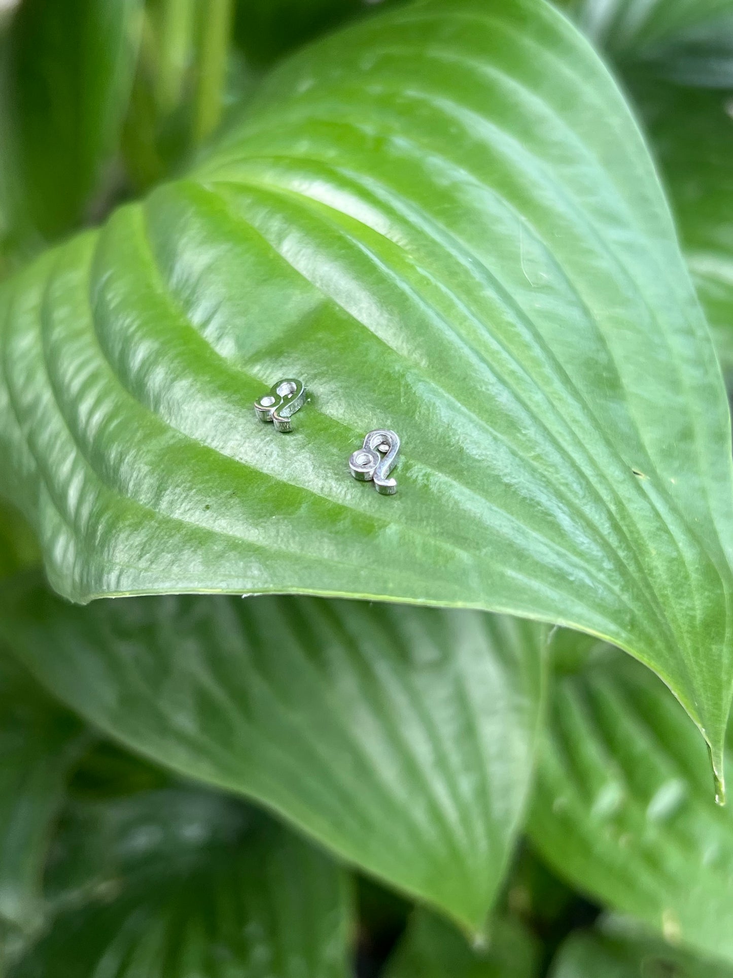 Leo Silver Zodiac Sign Studs ♌️