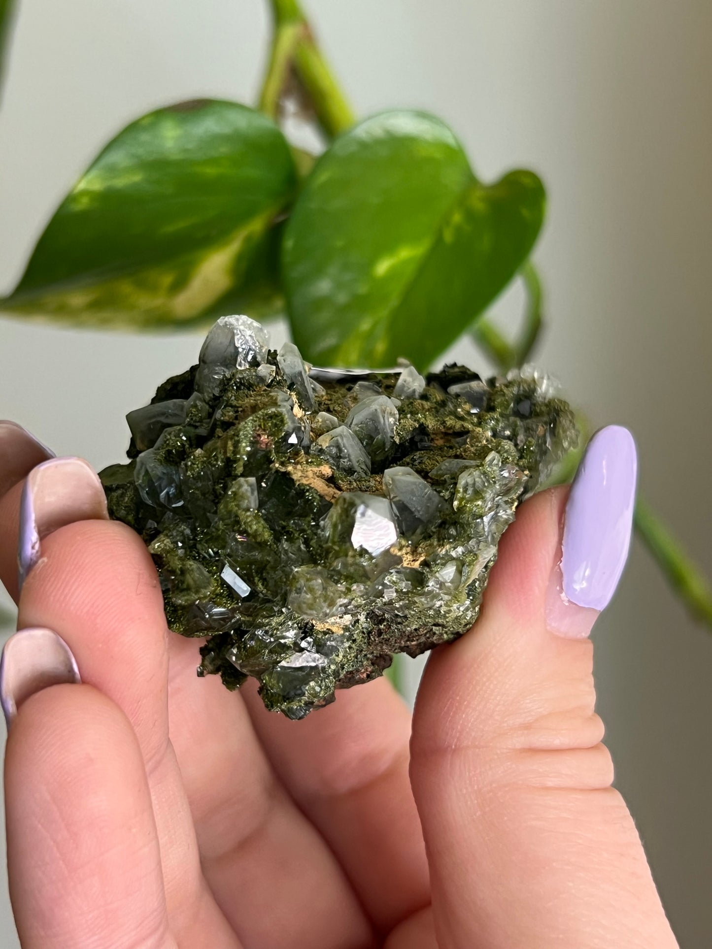 Forest Epidote Quartz Cluster - X