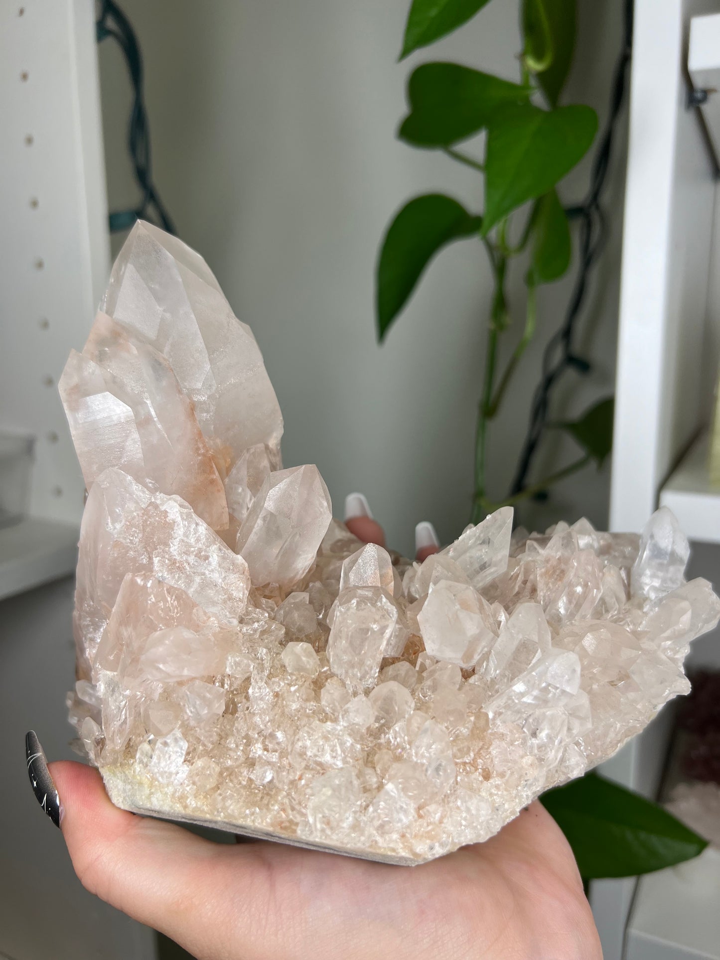 Himalayan Quartz Cluster - Extra Large