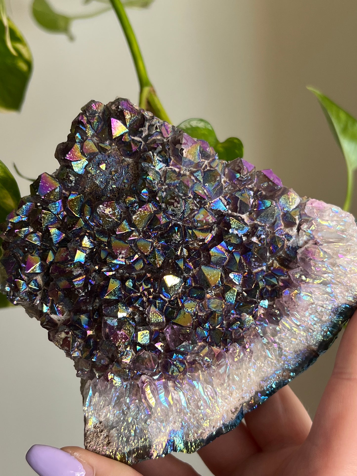 Aura Amethyst Large Cluster