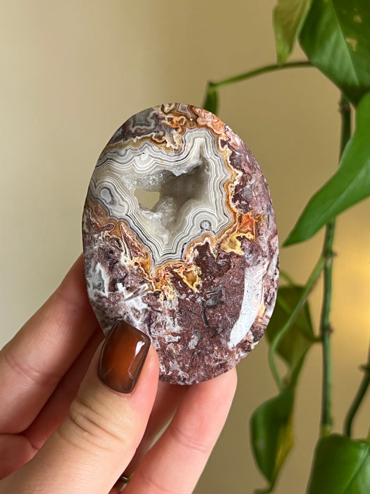 Mexican Lace Agate Palm Stone