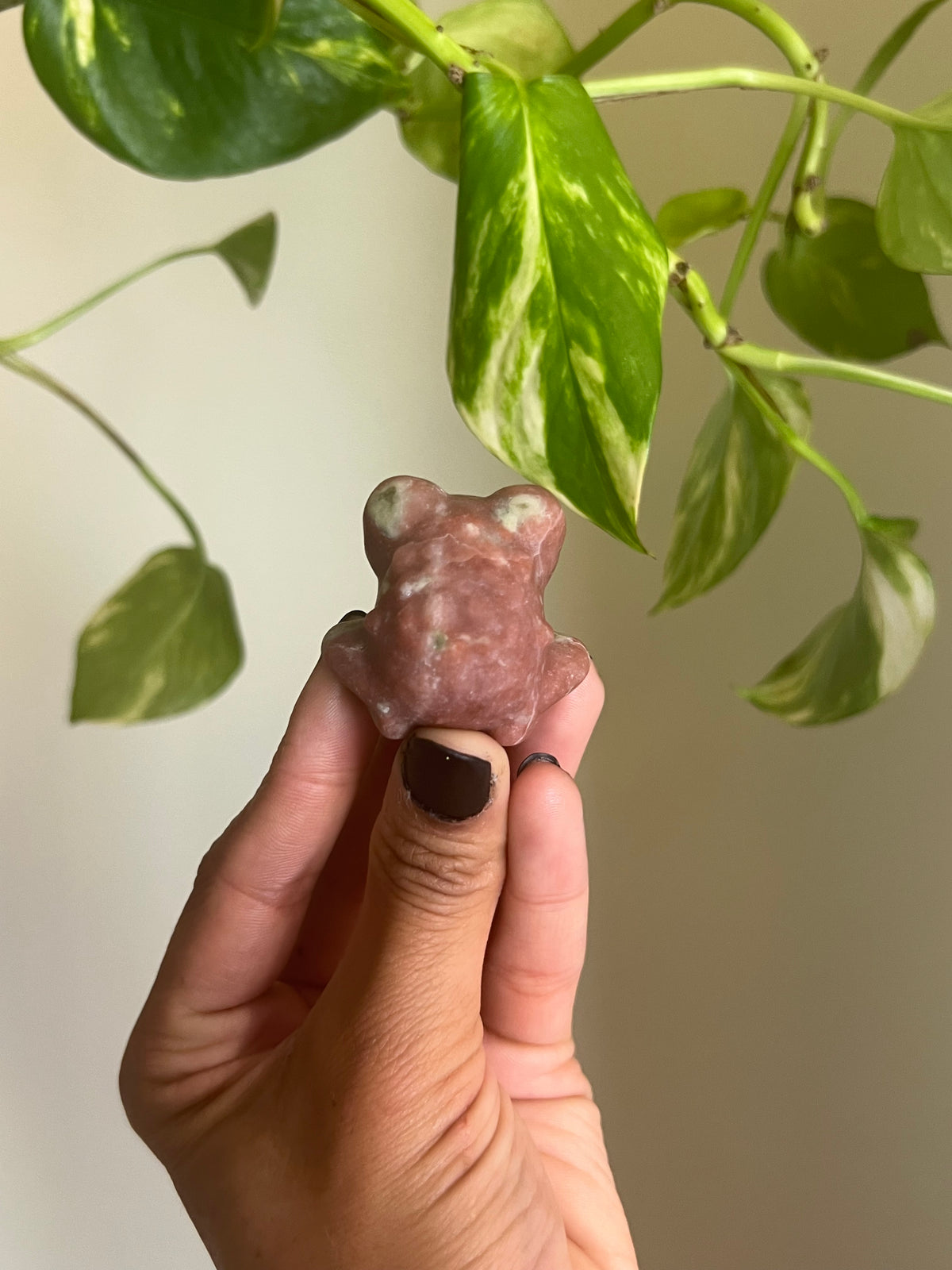 Plum Blossom Tourmaline x Serpentine Frog