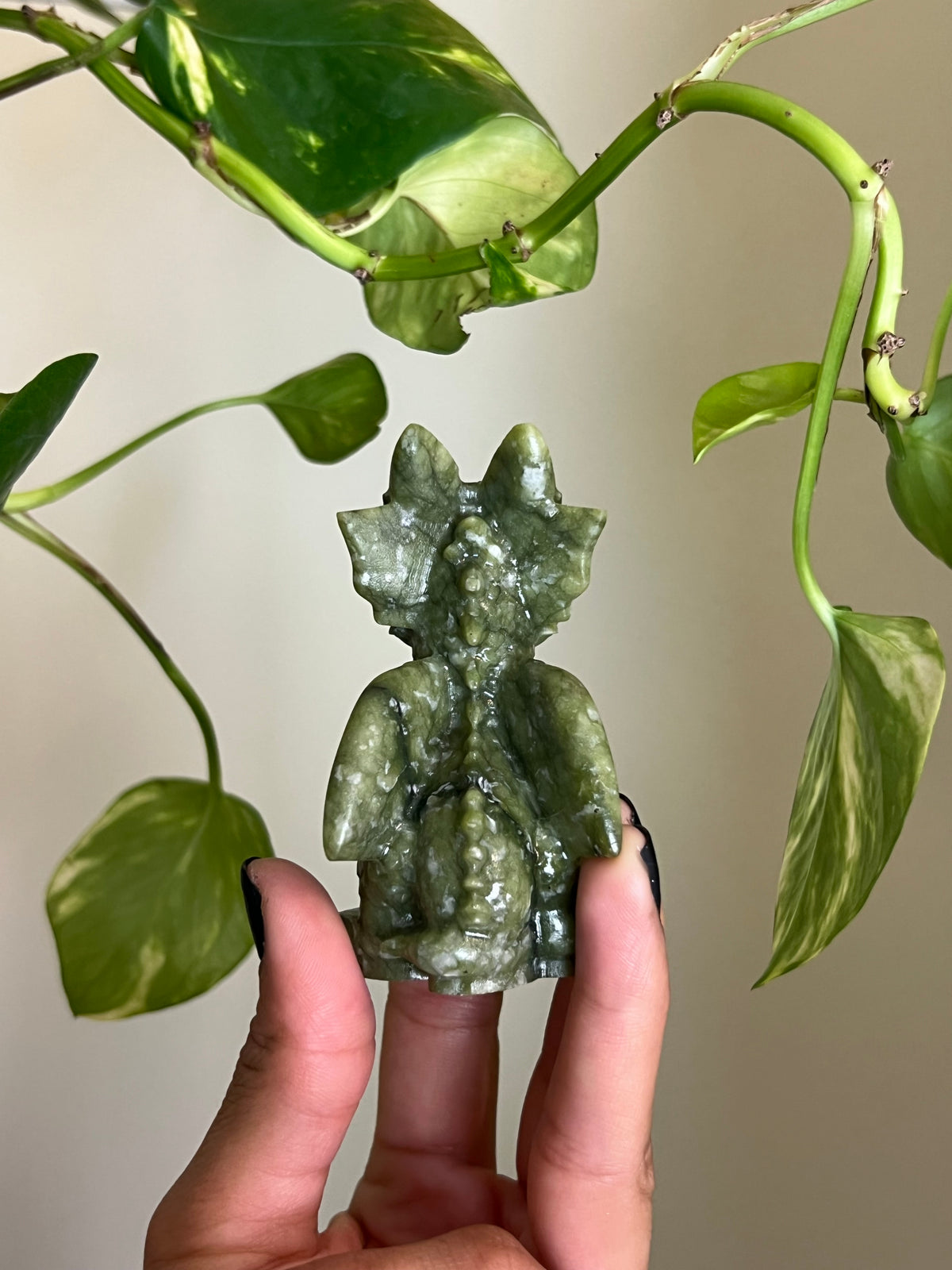 Jade Dragon