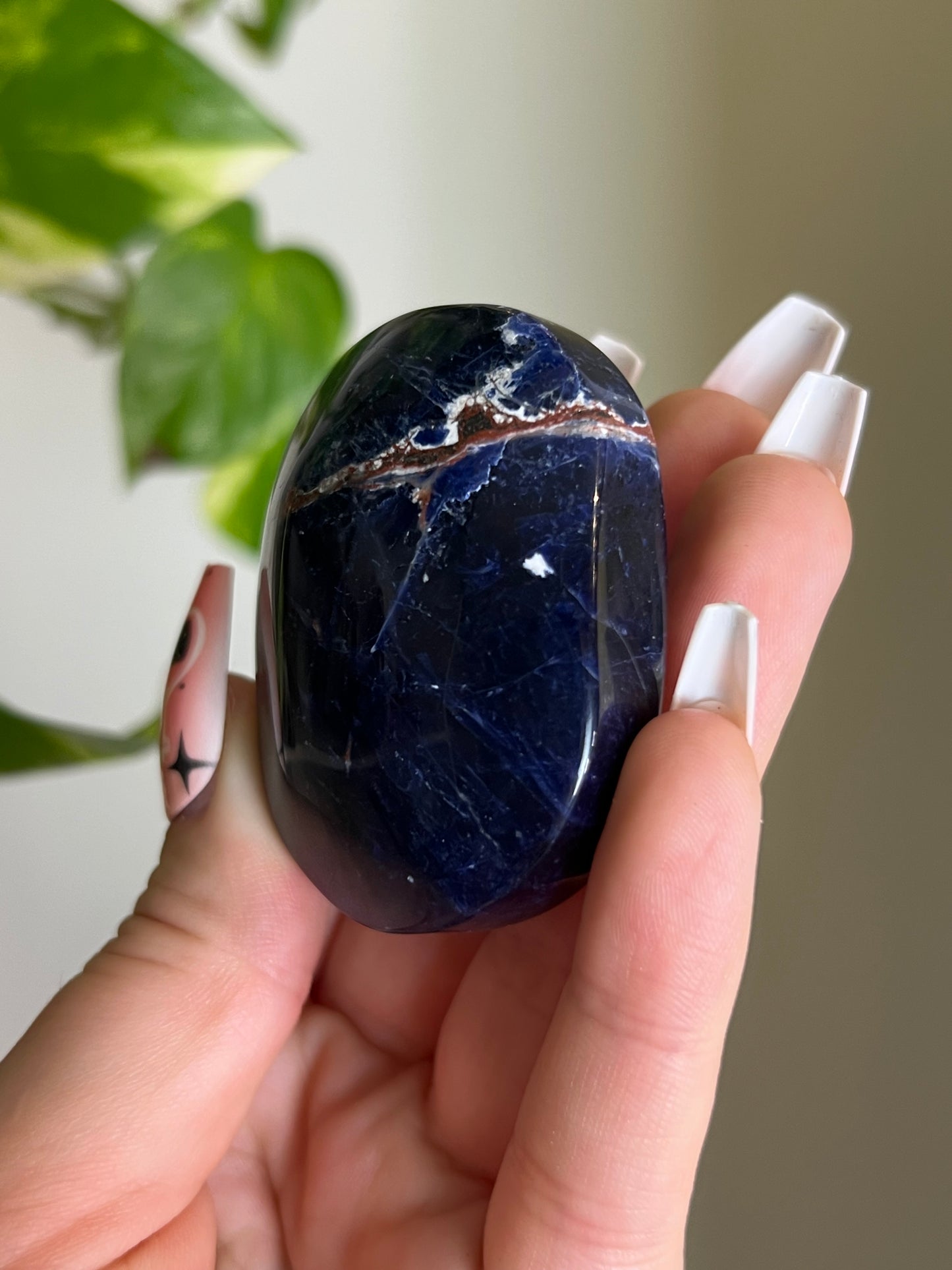 Sodalite Palm Stone
