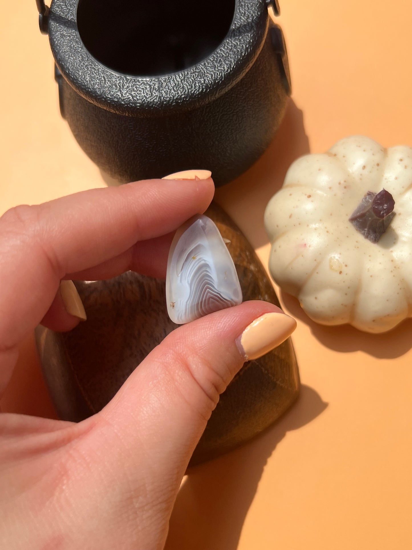 Botswana Agate Croc Charm 🤎