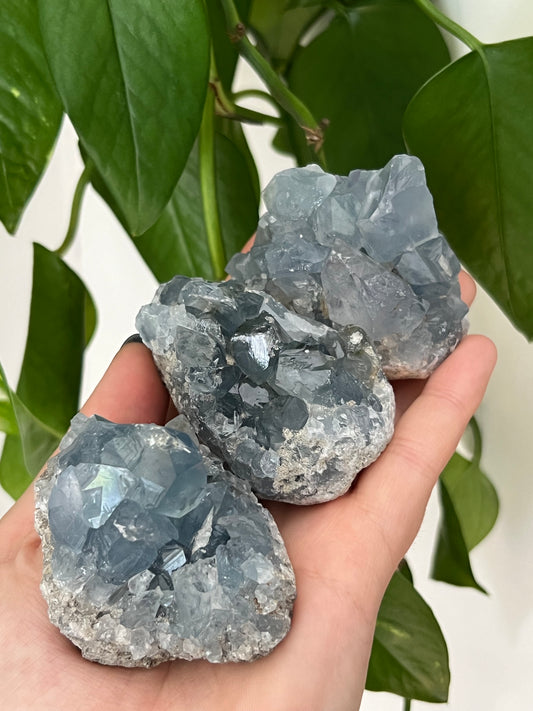 Celestite Cluster - Intuitively Chosen