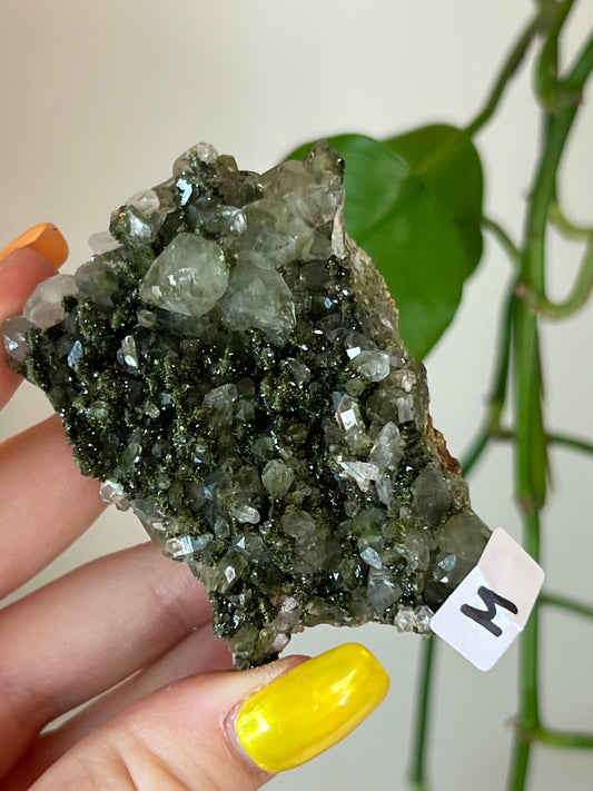 Forest Epidote Quartz Cluster - M