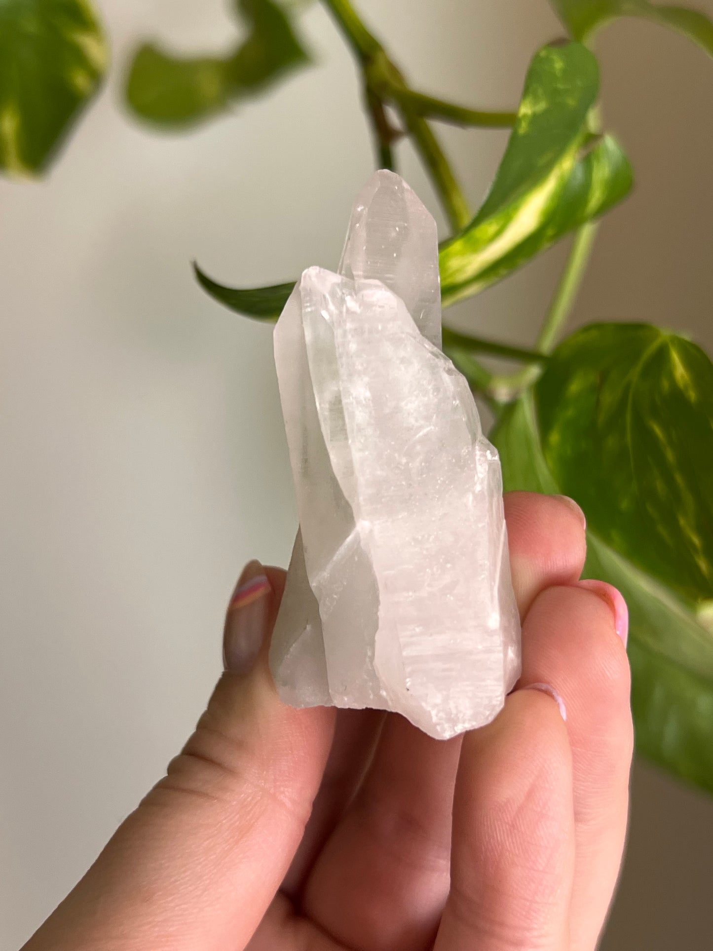 Clear Quartz Cluster - W