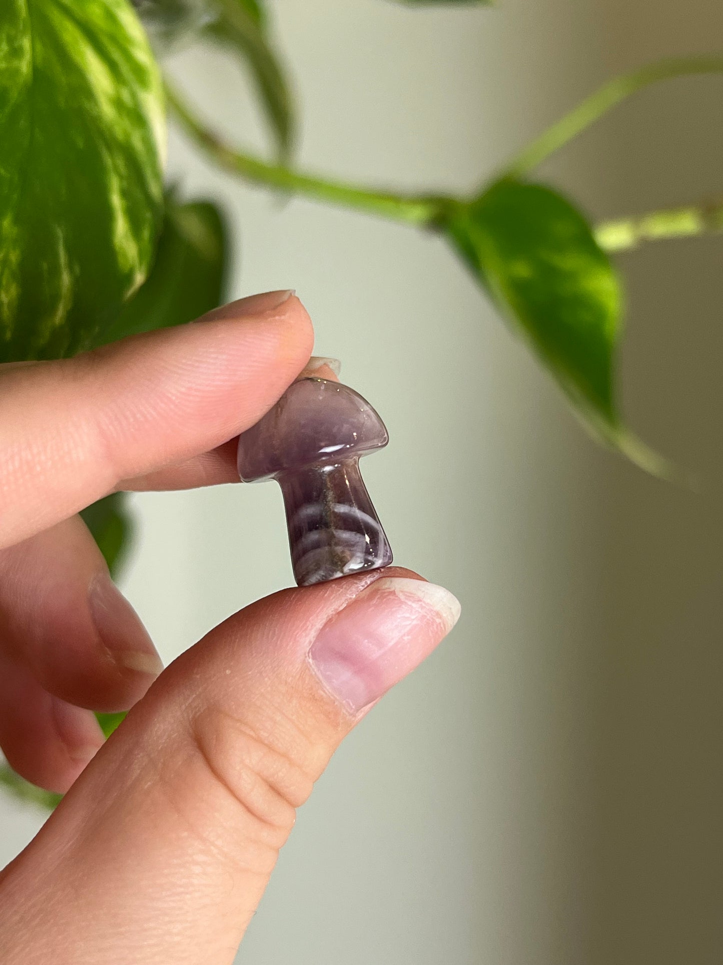 Amethyst Mini Mushie