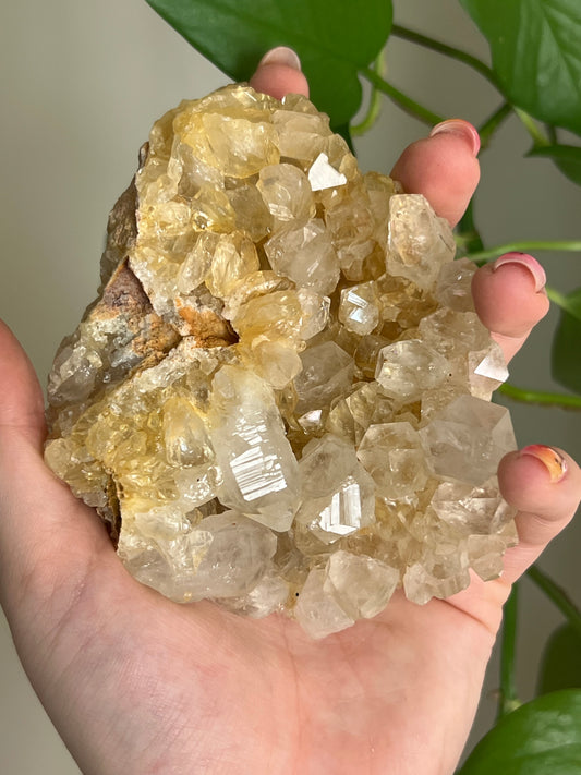 Limonite Cluster - B