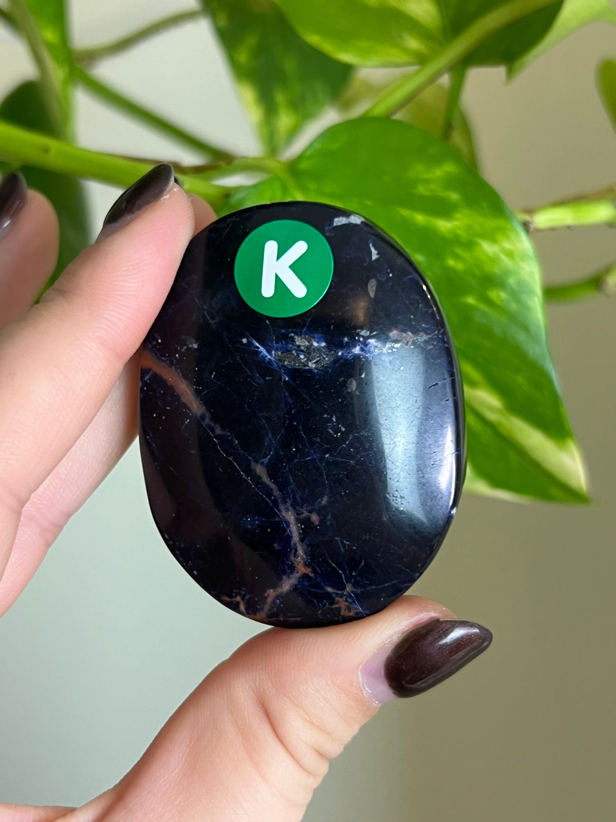 Sodalite Palm Stone - K