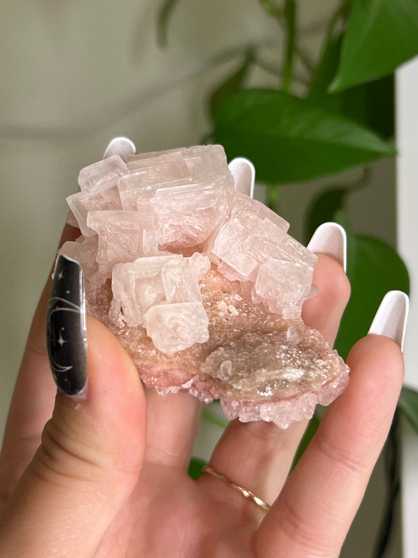 Pink Halite Cluster T | Rare