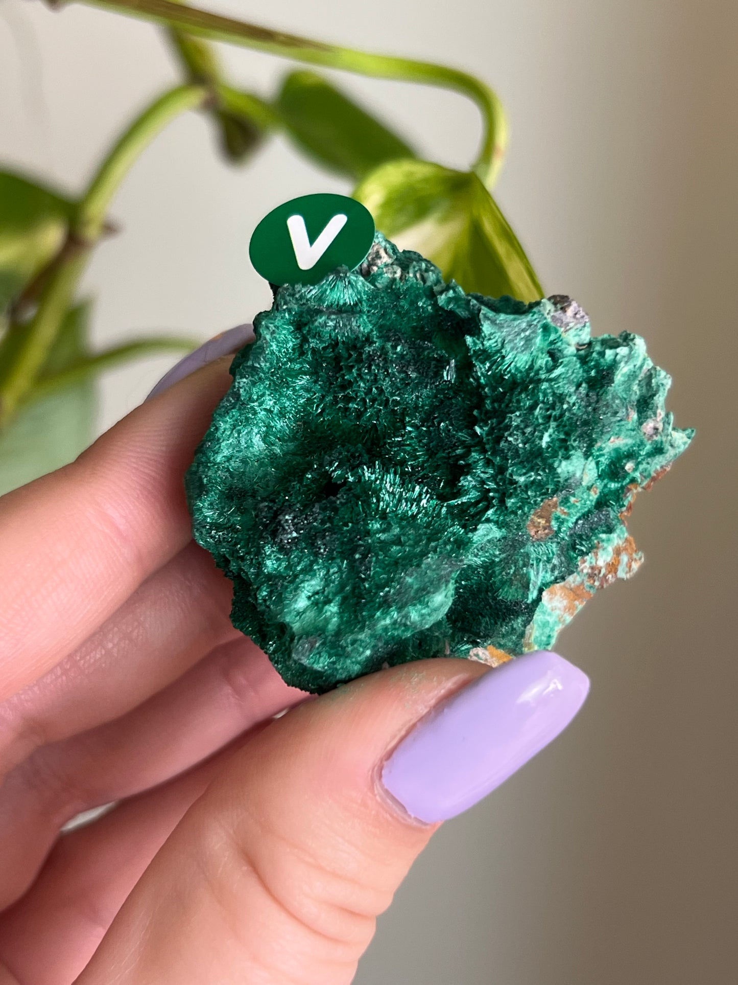 Fibrous Malachite - V