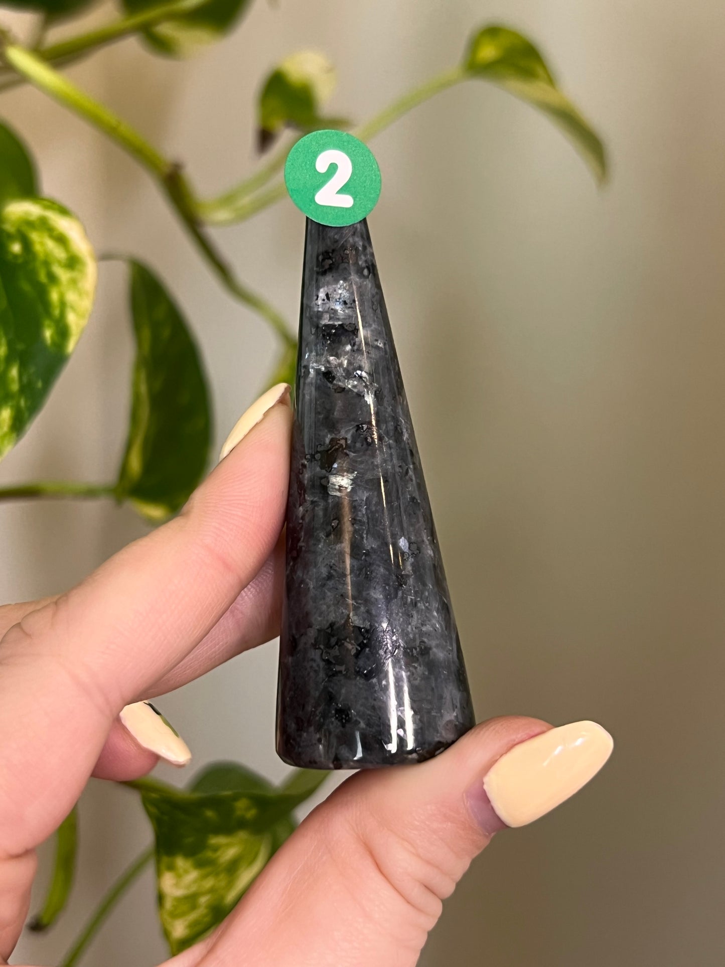 Flashy Larvikite Ring Holder - 2