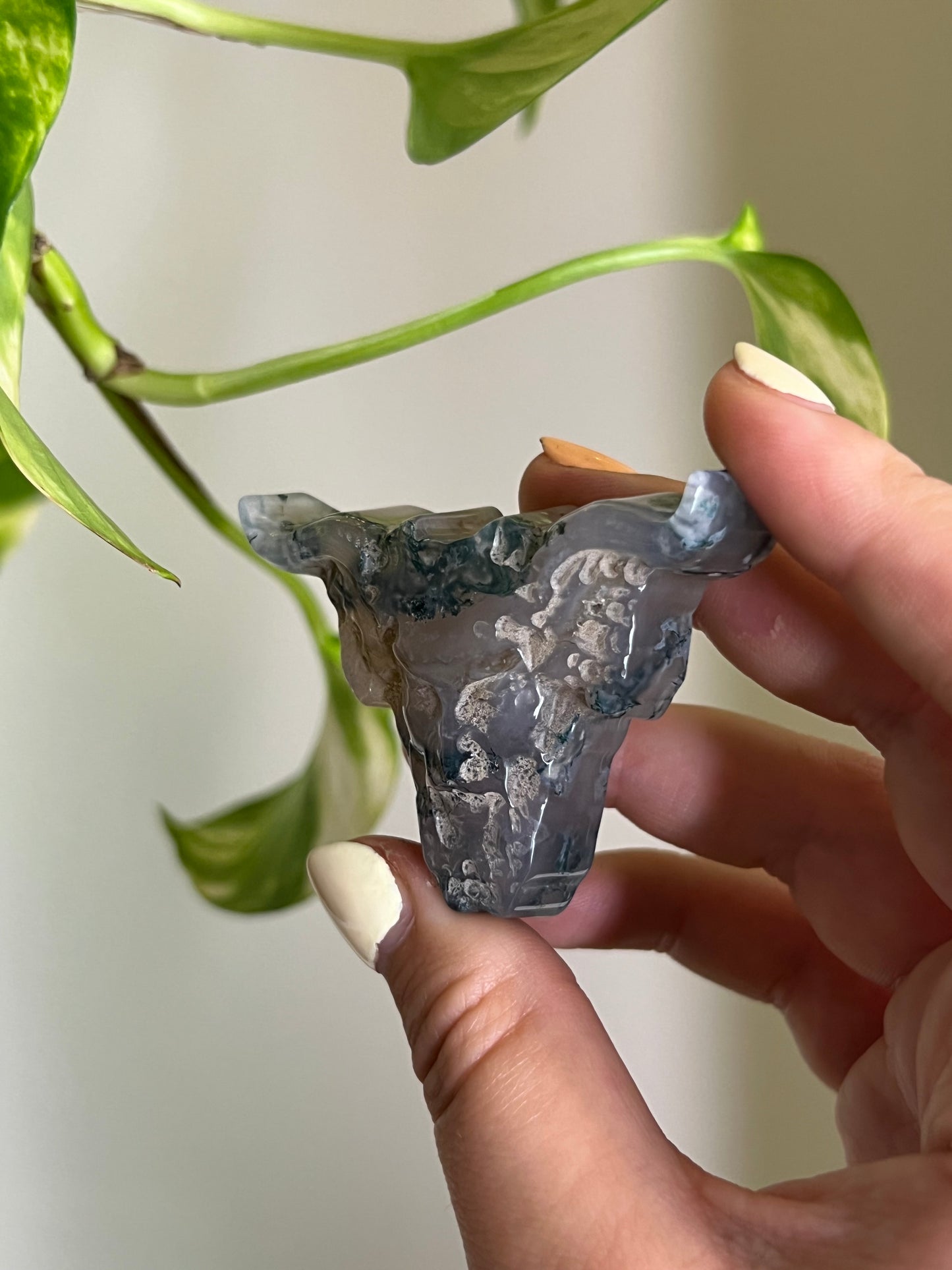 Moss Agate Cow Skull