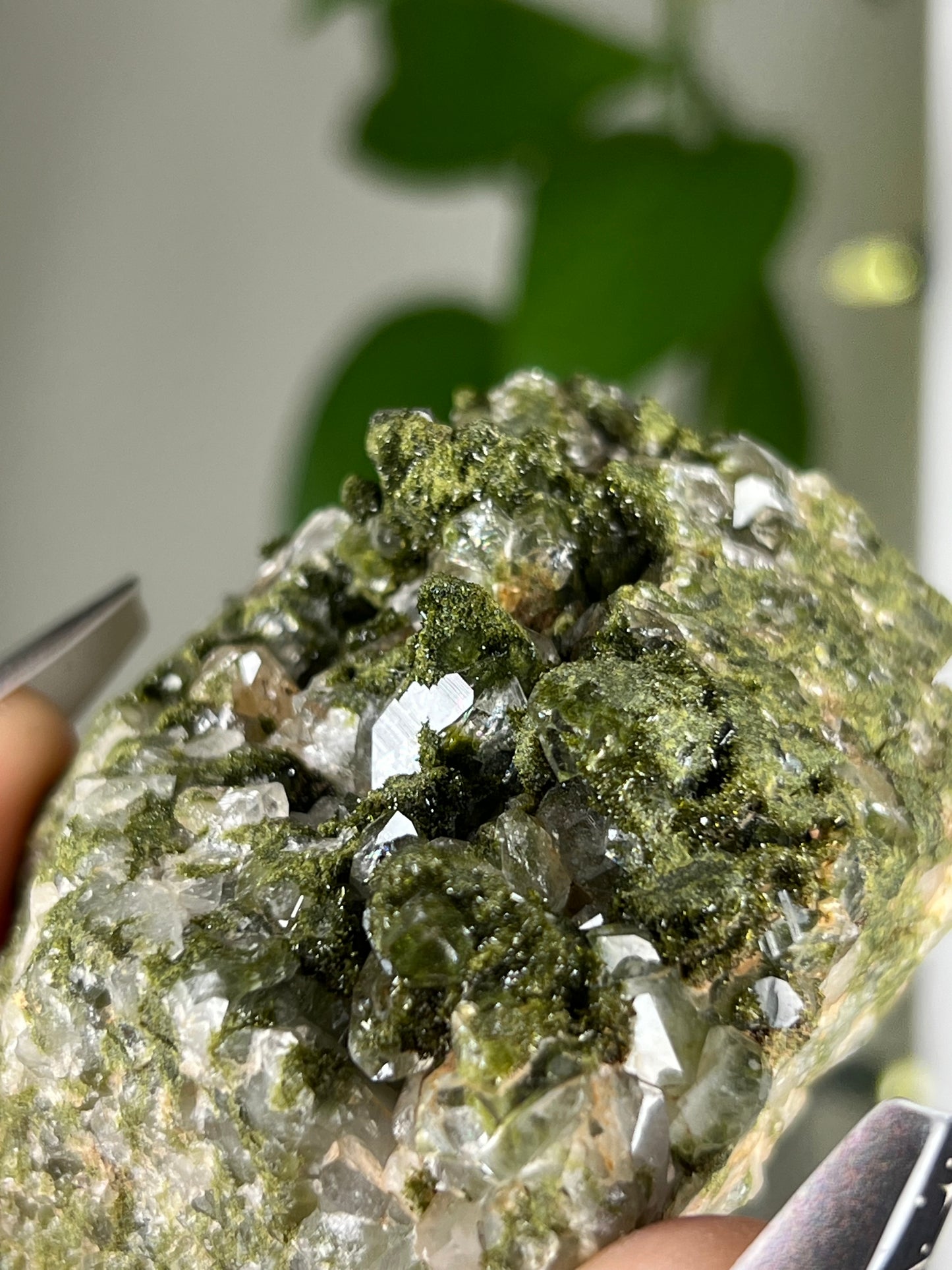 Forest Epidote Quartz Cluster - Rare - B