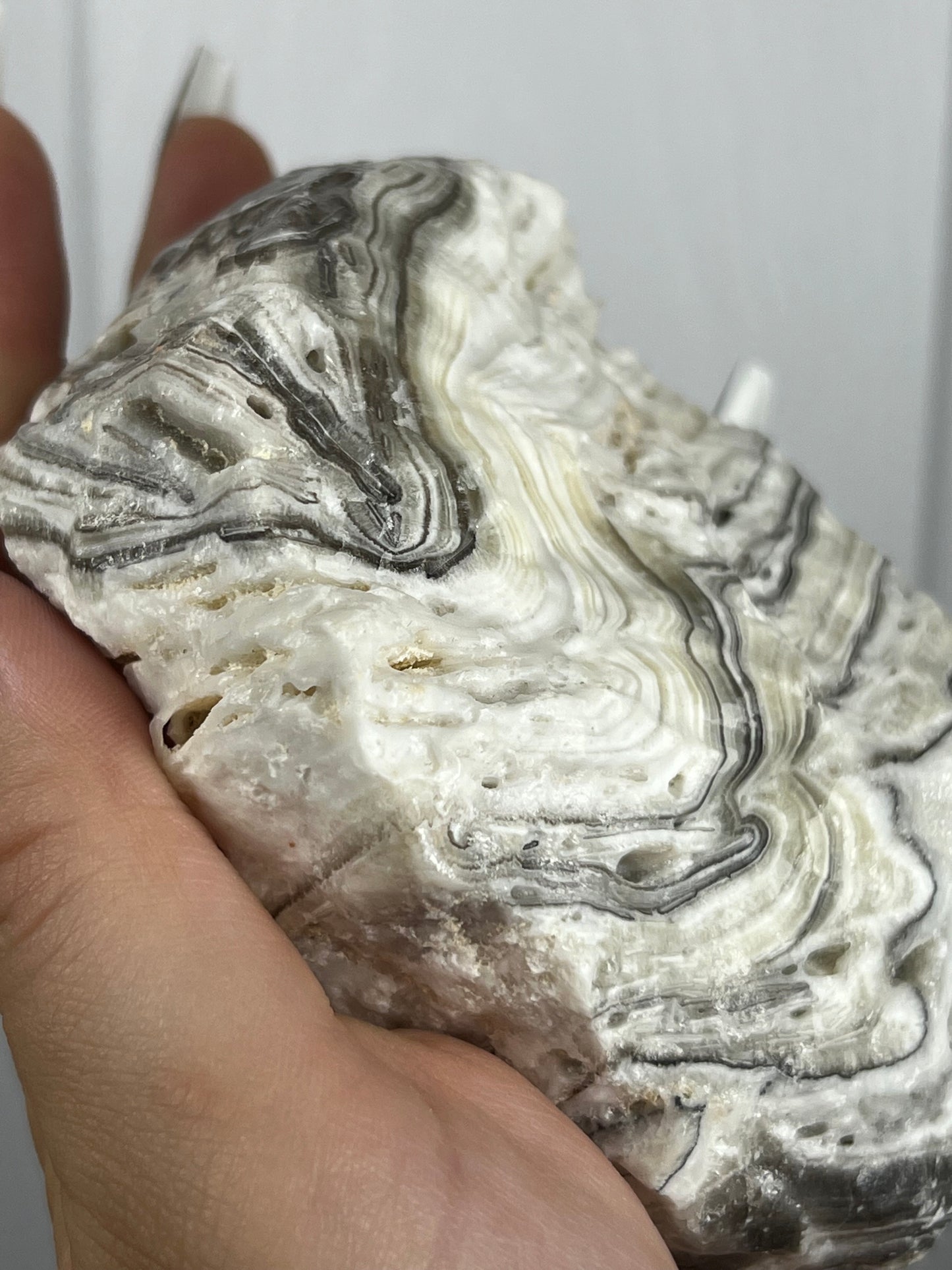 Zebra Calcite - Large