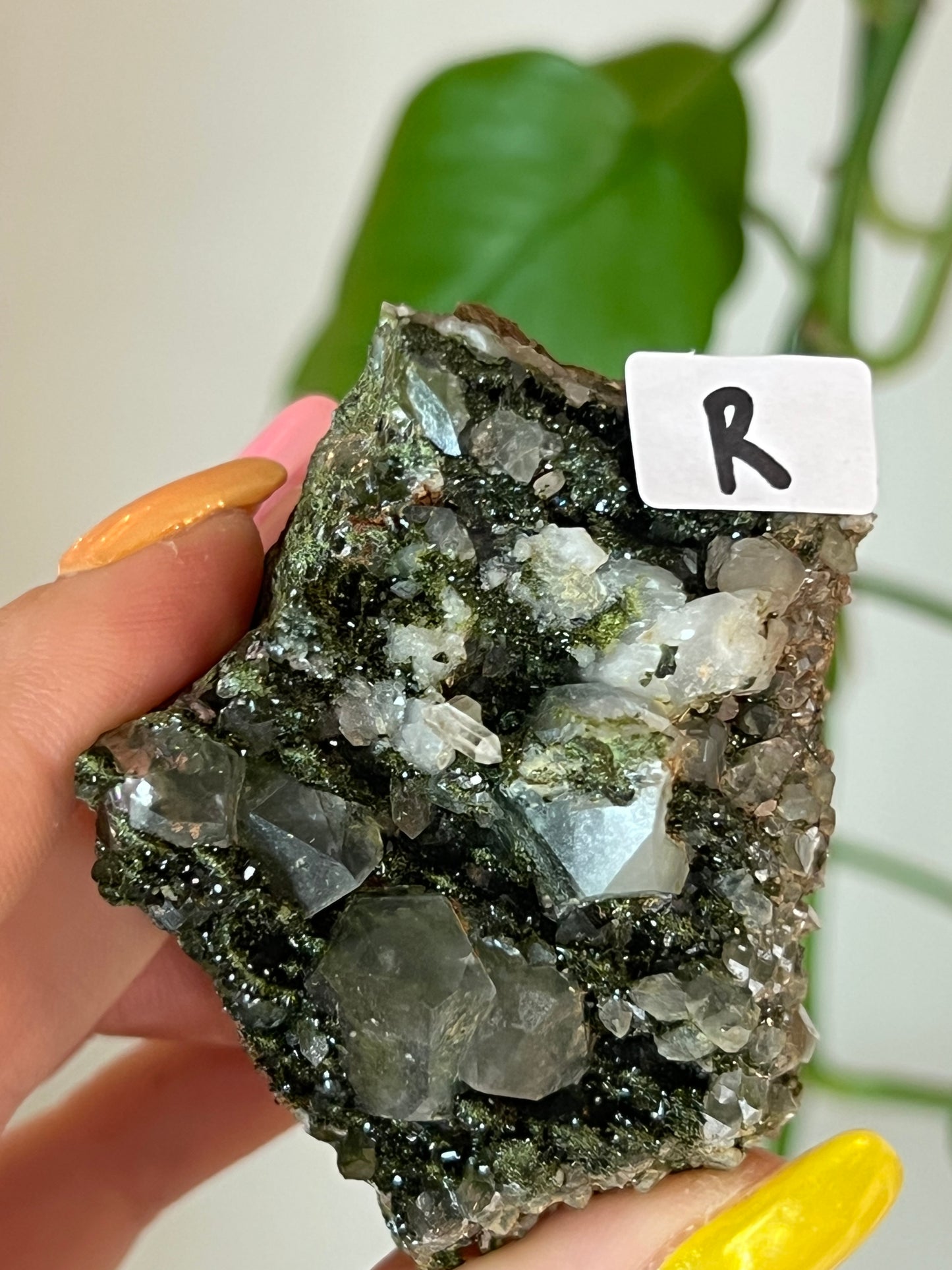 Forest Epidote Quartz Cluster - R