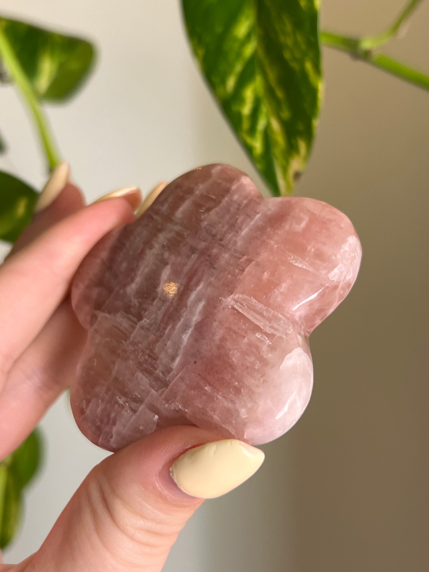 Rose Calcite Groovy Flower - Intuitively Chosen 🌹