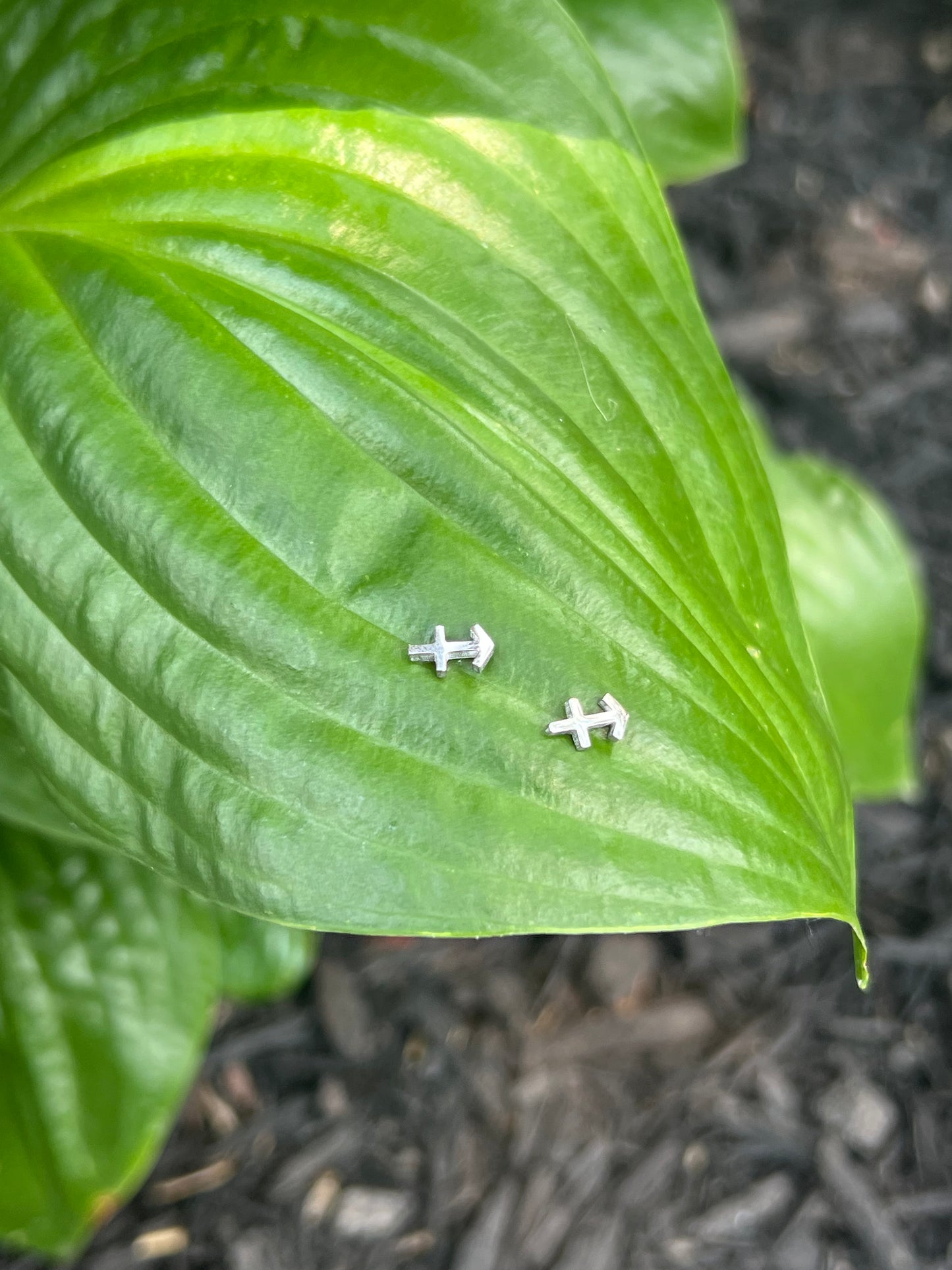 Sagittarius Silver Zodiac Sign Studs ♐️