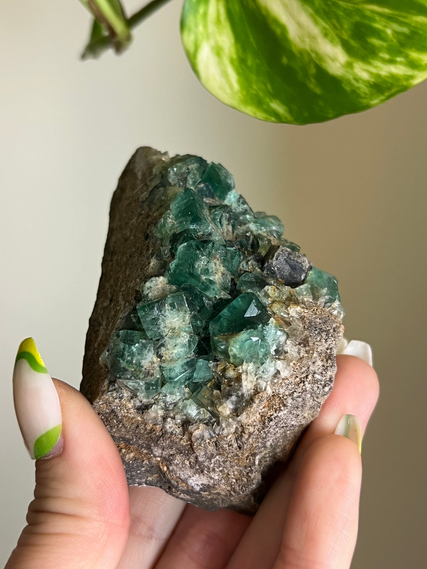 Green Cubic Fluorite Cluster - 4