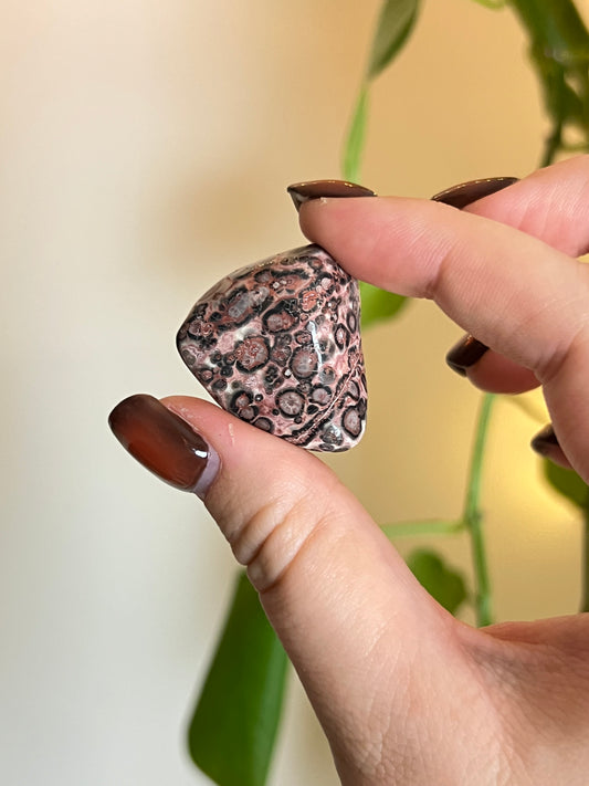 Leopardskin Jasper Tumbled