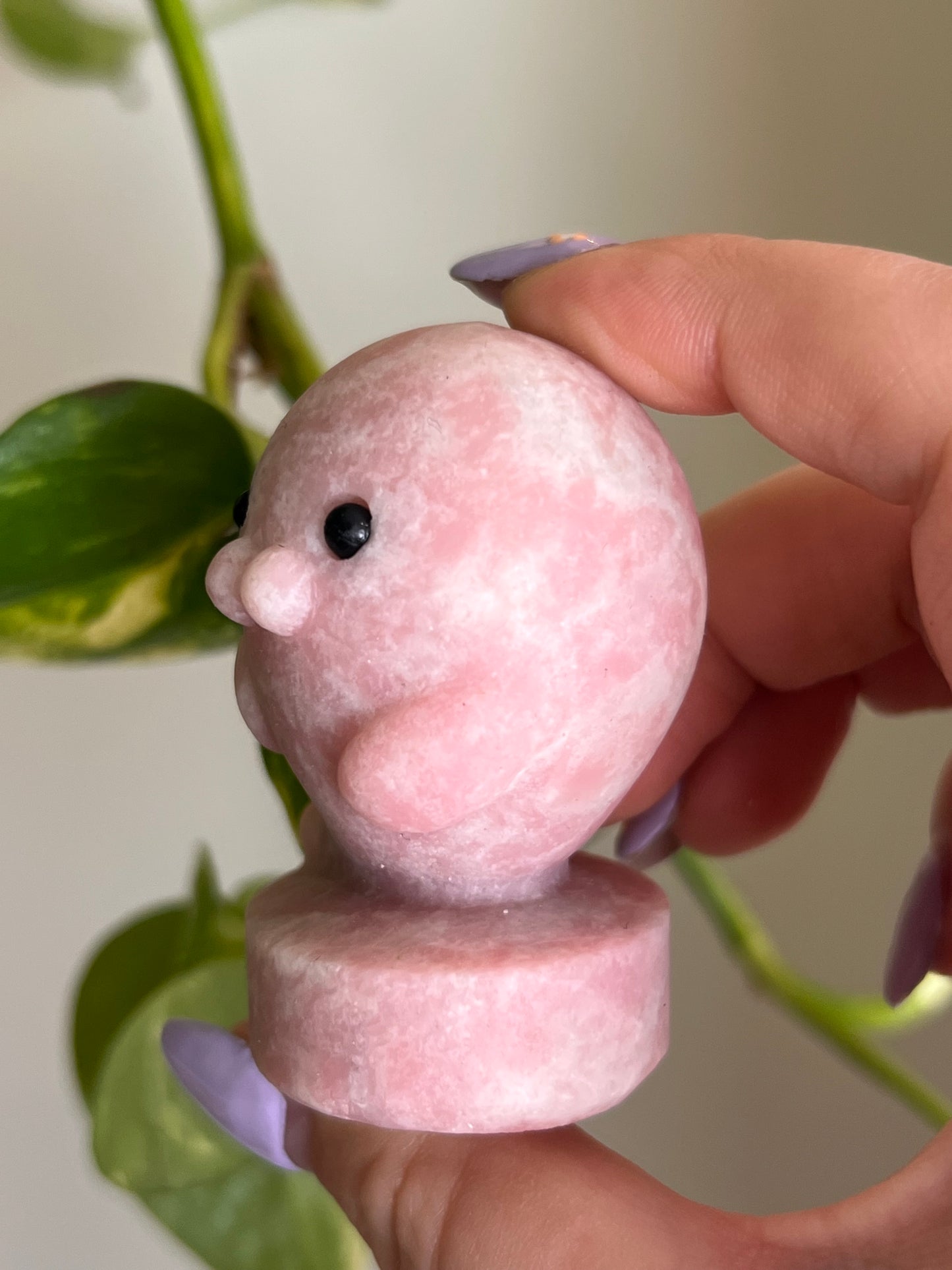 Pink Opal Seal