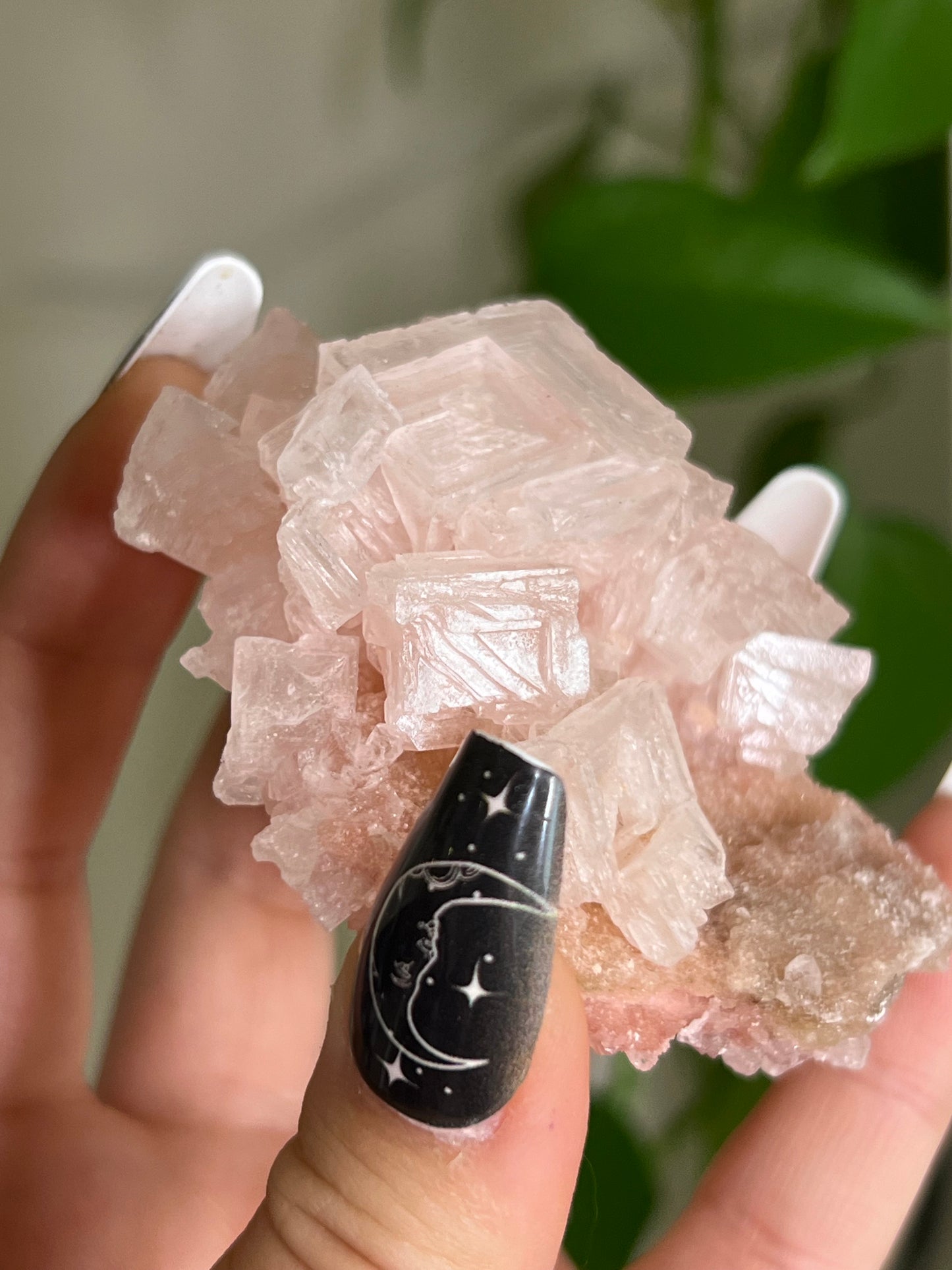 Pink Halite Cluster T | Rare