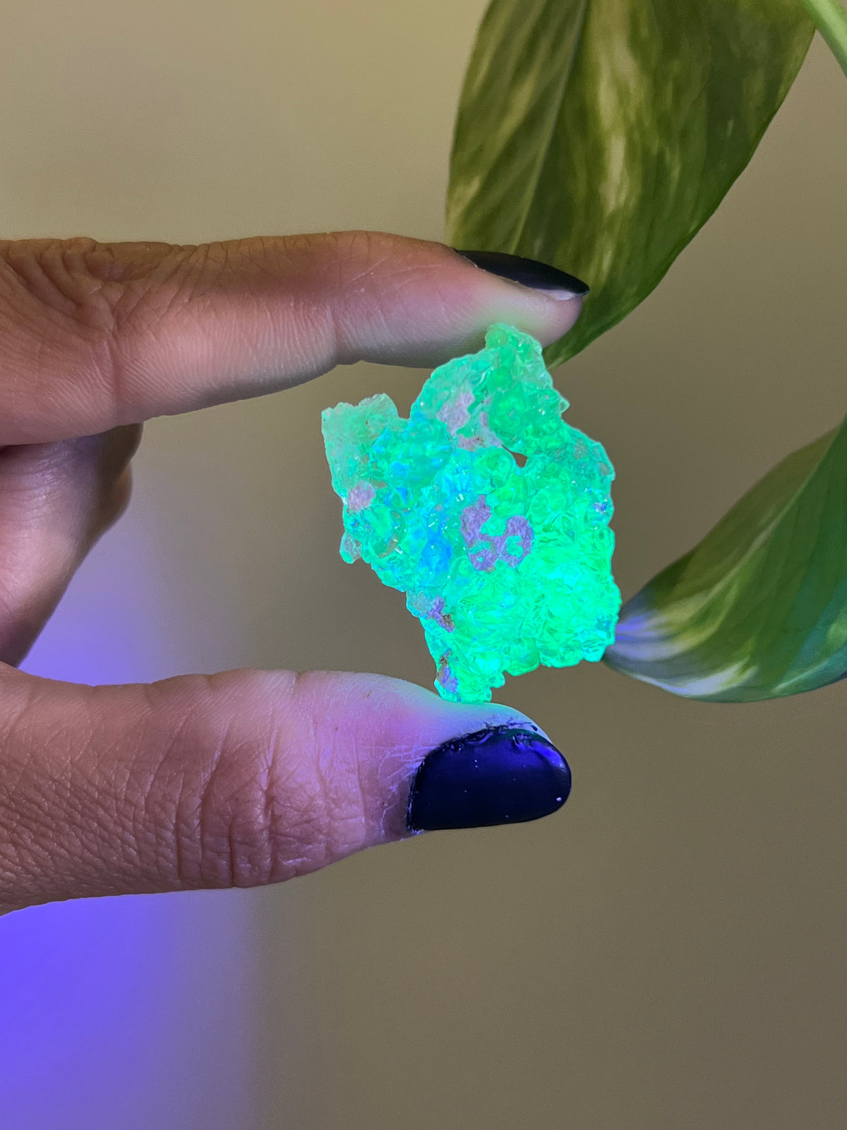 UV Reactive Hyalite Opal - H