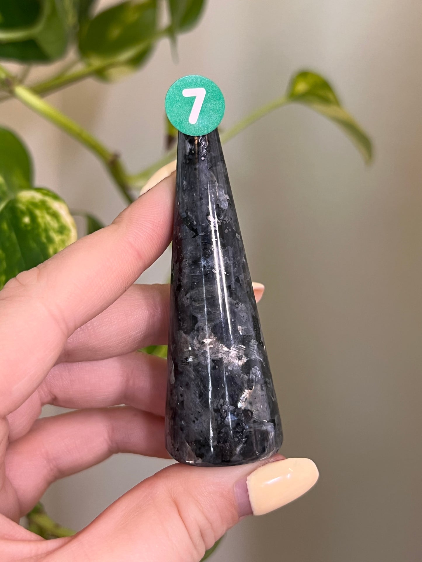 Flashy Larvikite Ring Holder - 7
