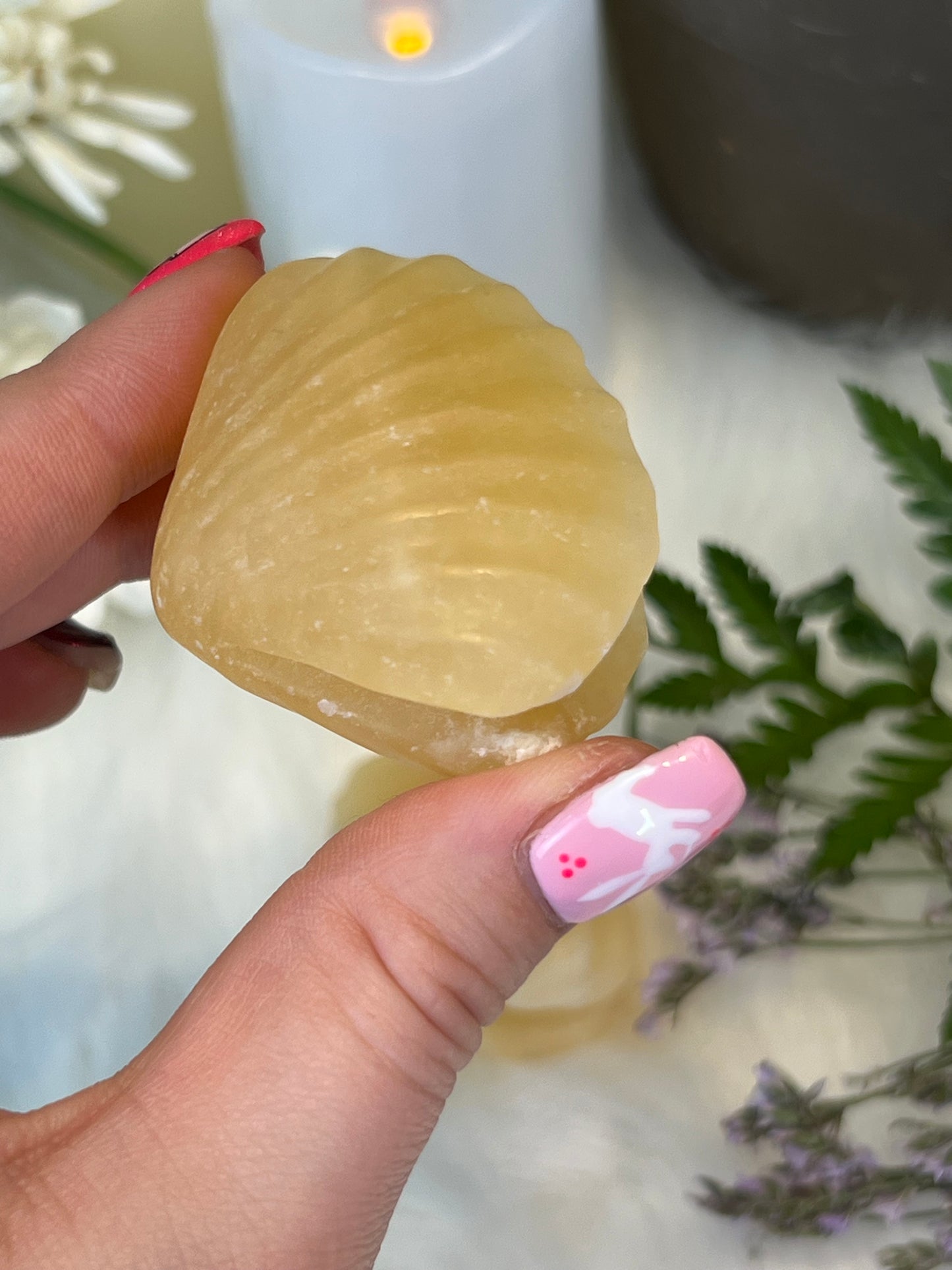 Yellow Calcite Clam Shell