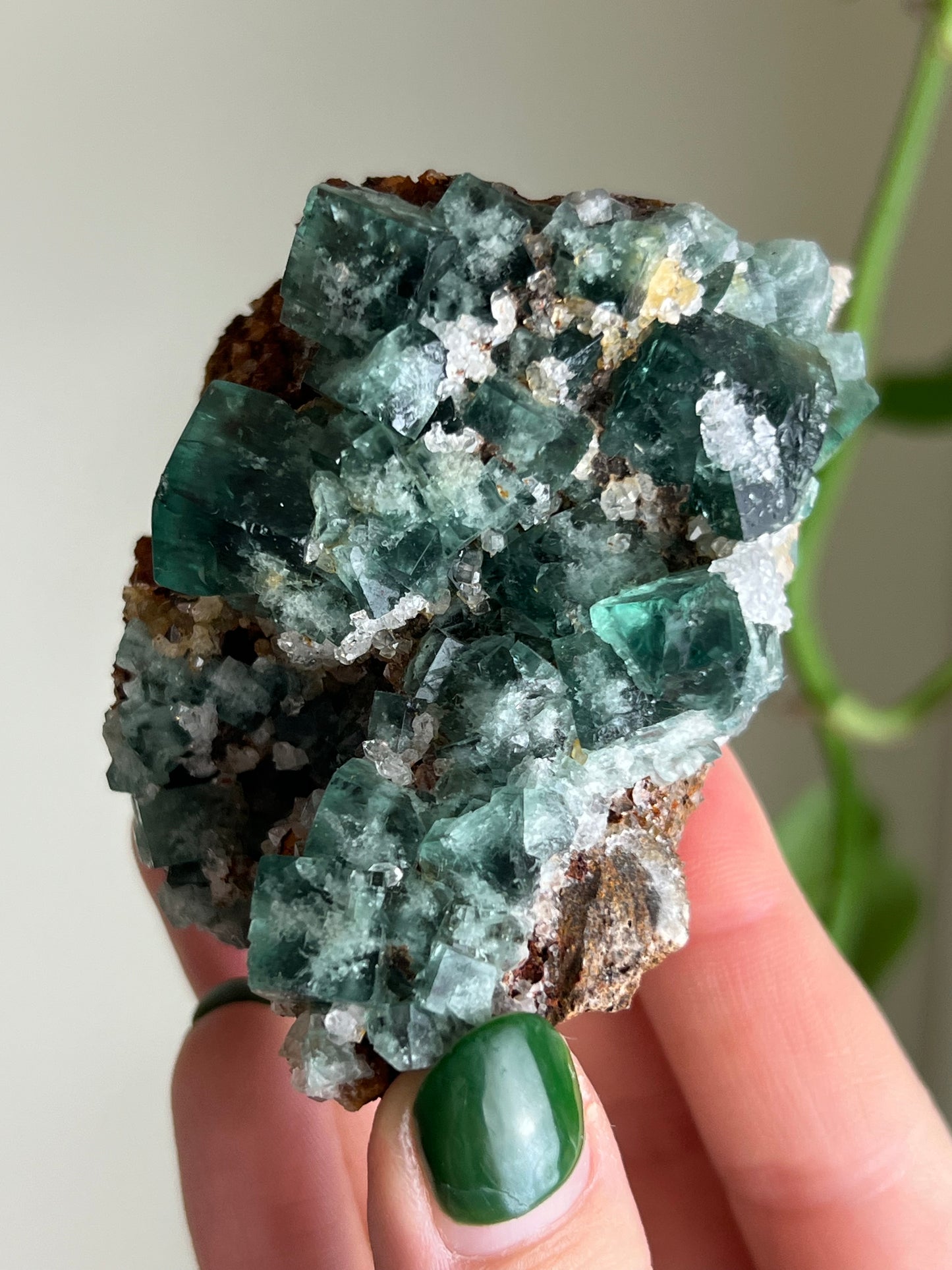 Cubic Sugar Druzy Fluorite - England