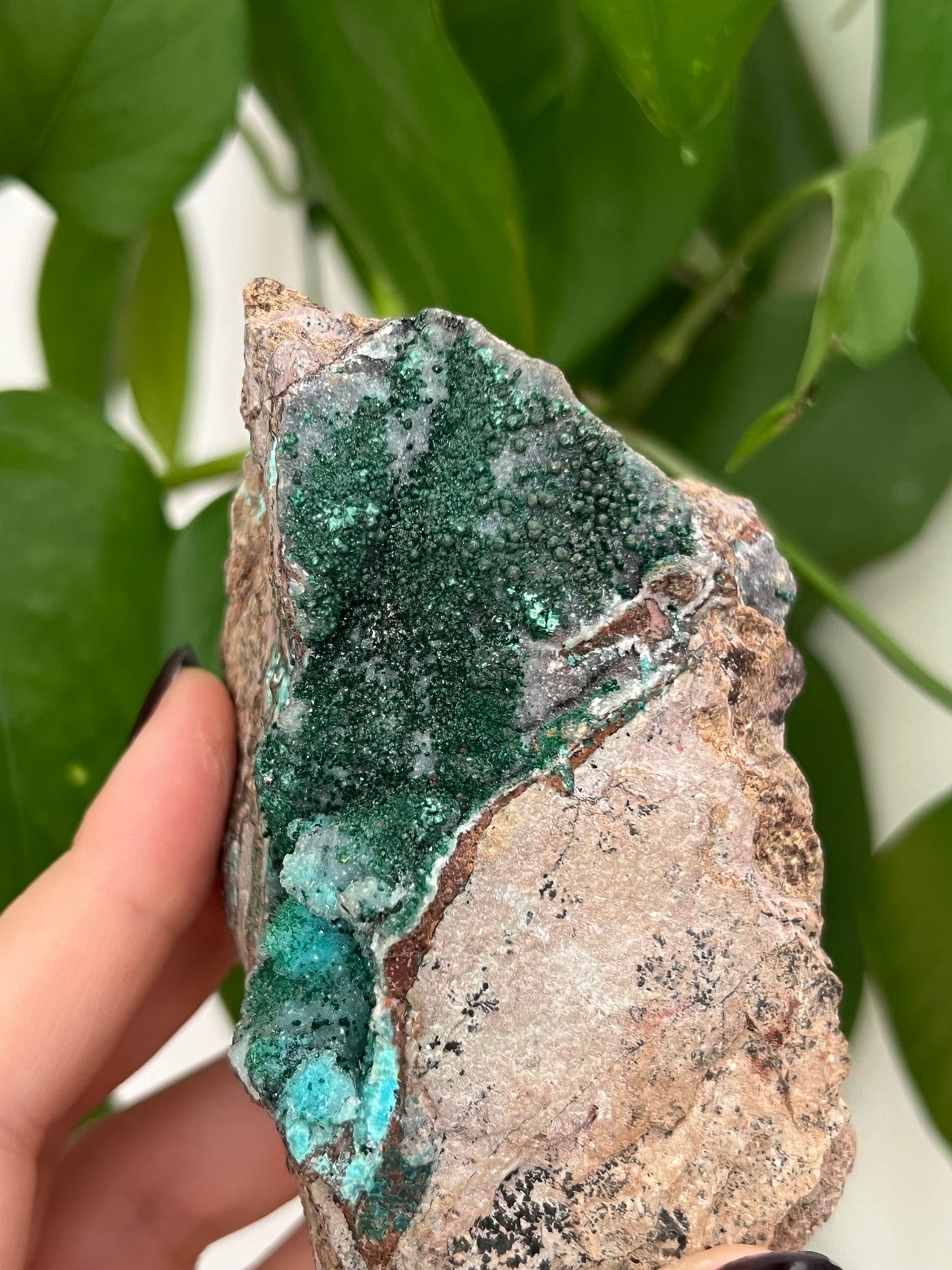 Botryoidal Malachite, Dolomite, Druzy Chrysocolla P