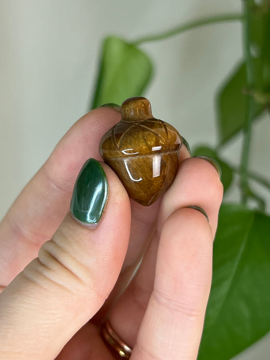 Tigers Eye Acorn