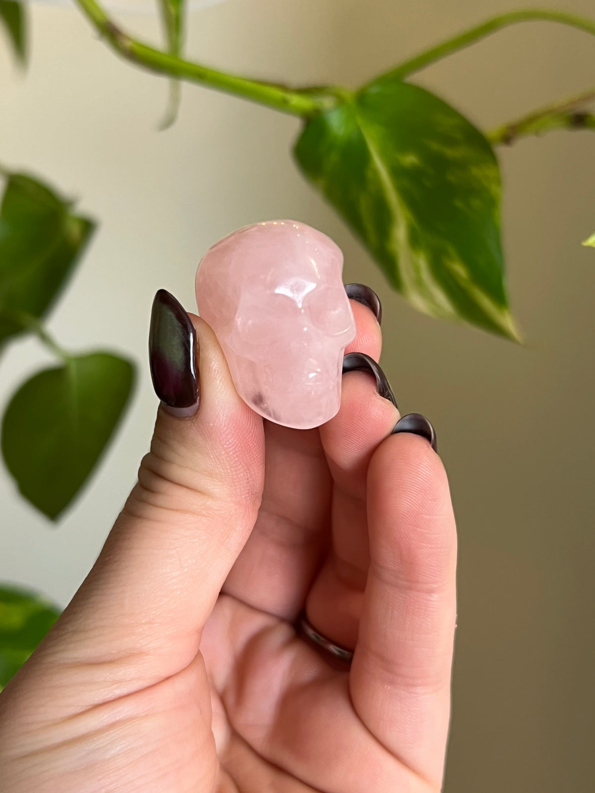 Rose Quartz Small Skull