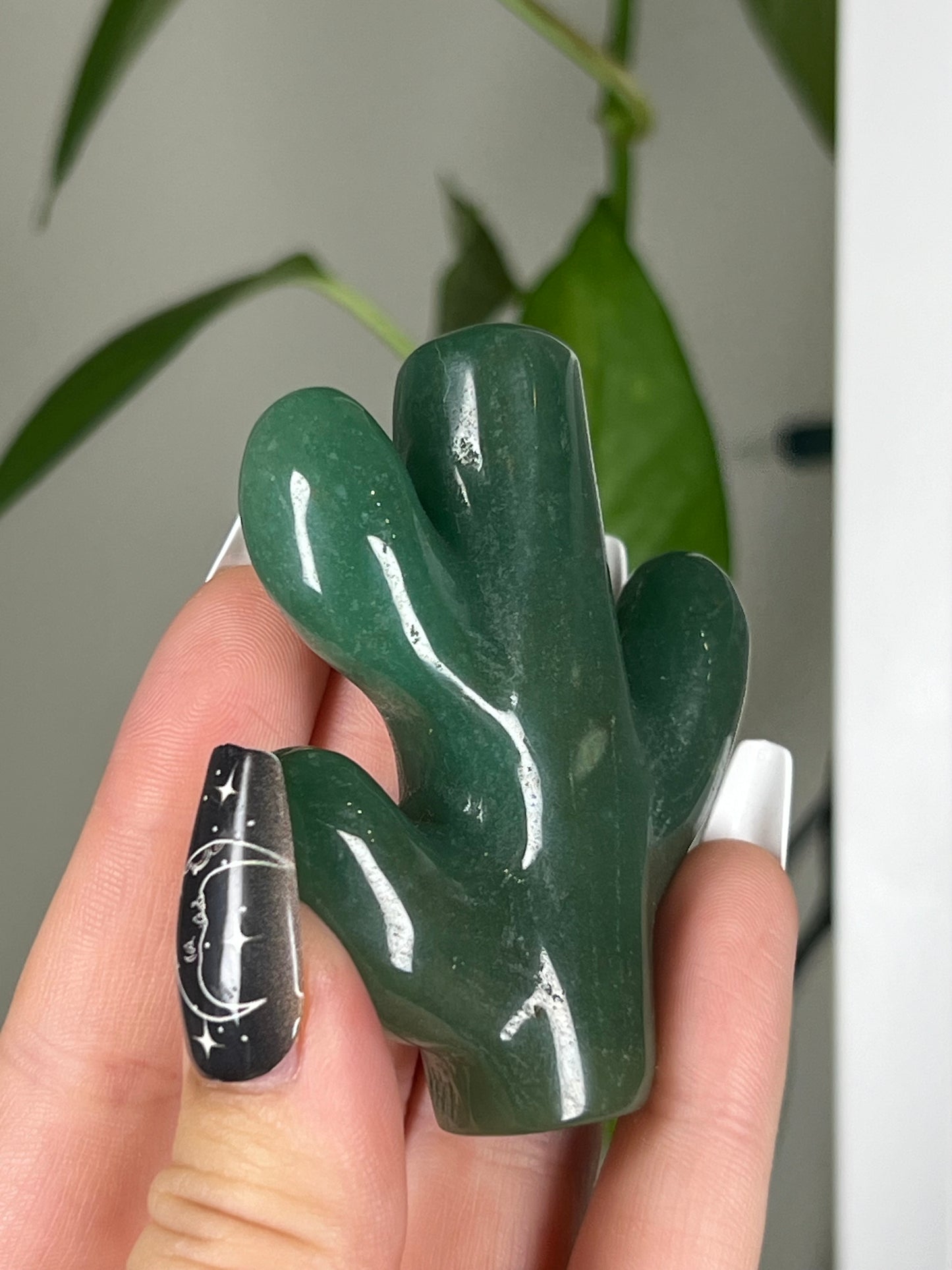 Green Aventurine Cactus Plant