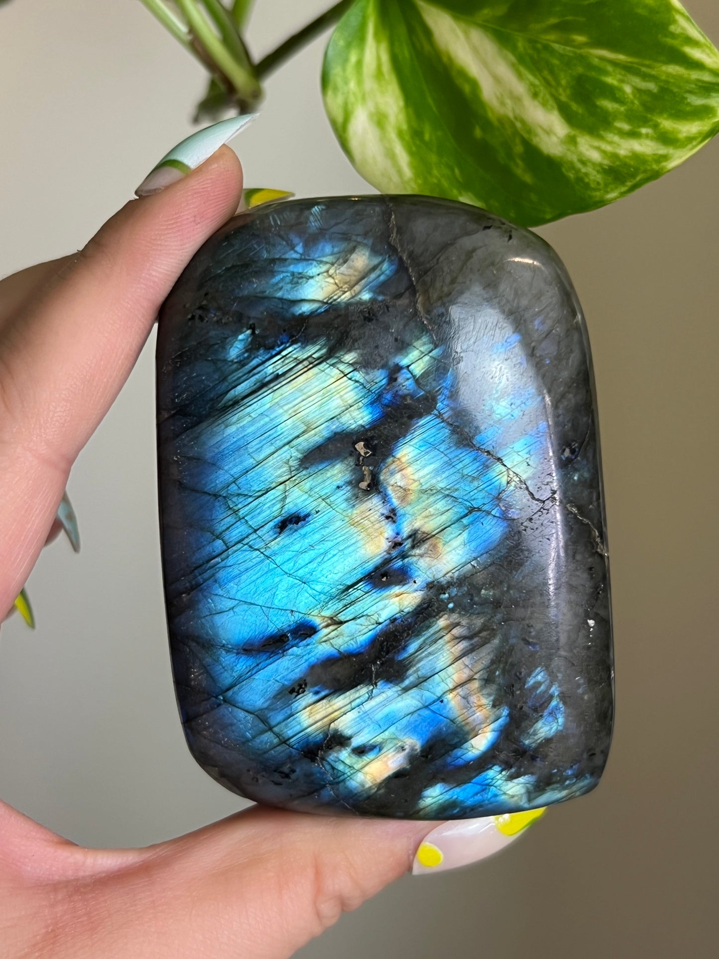 Flashy Labradorite Freeform - J