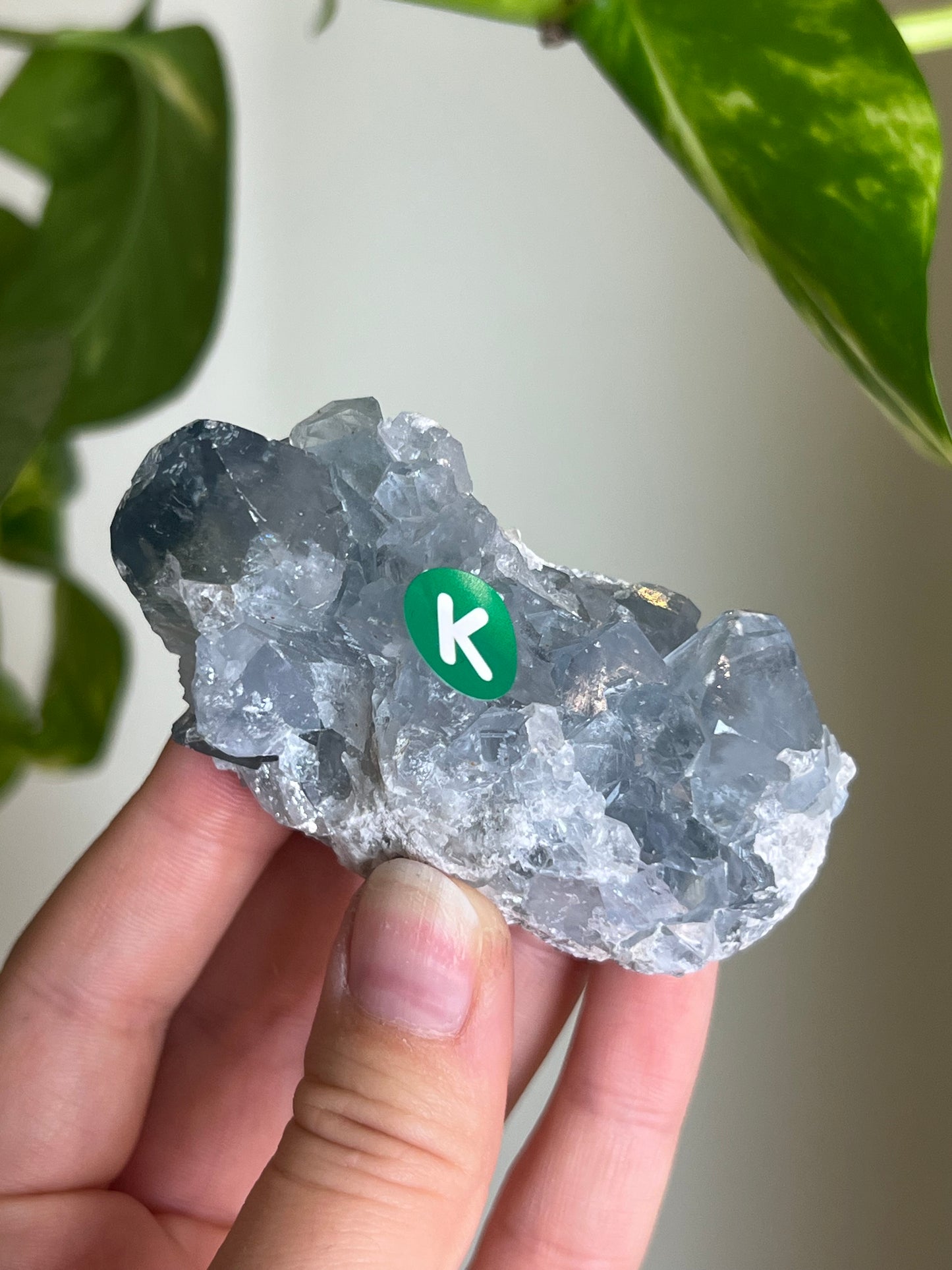 Celestite Cluster Small - K