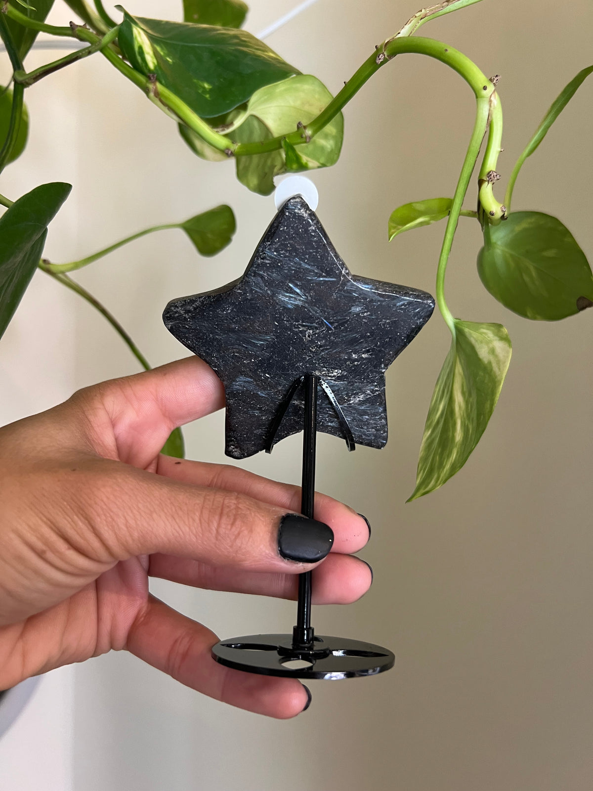 Flashy Astrophyllite Star on Stand - 2